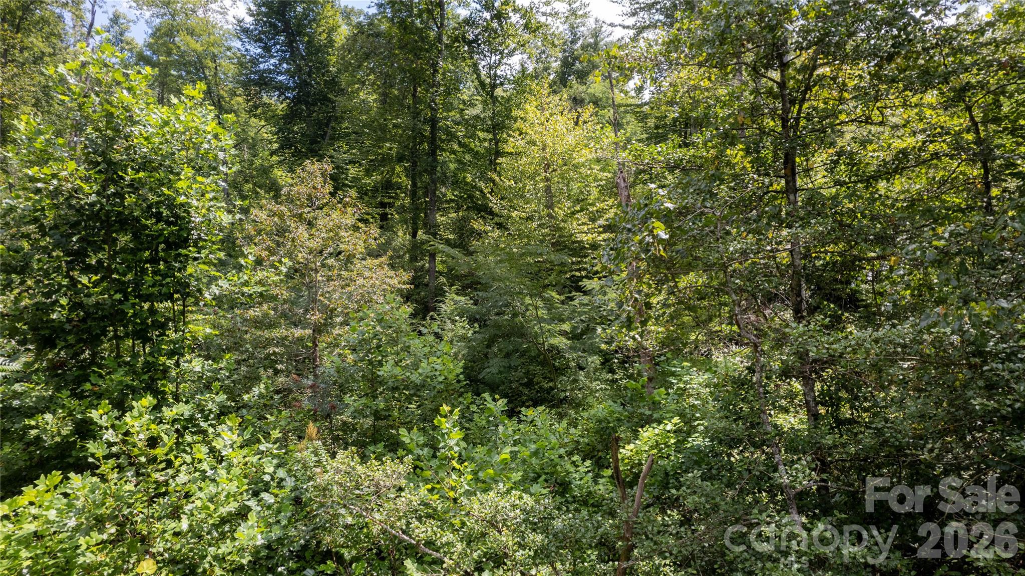 Tbd Collettsville Road 7 Property Photo 9