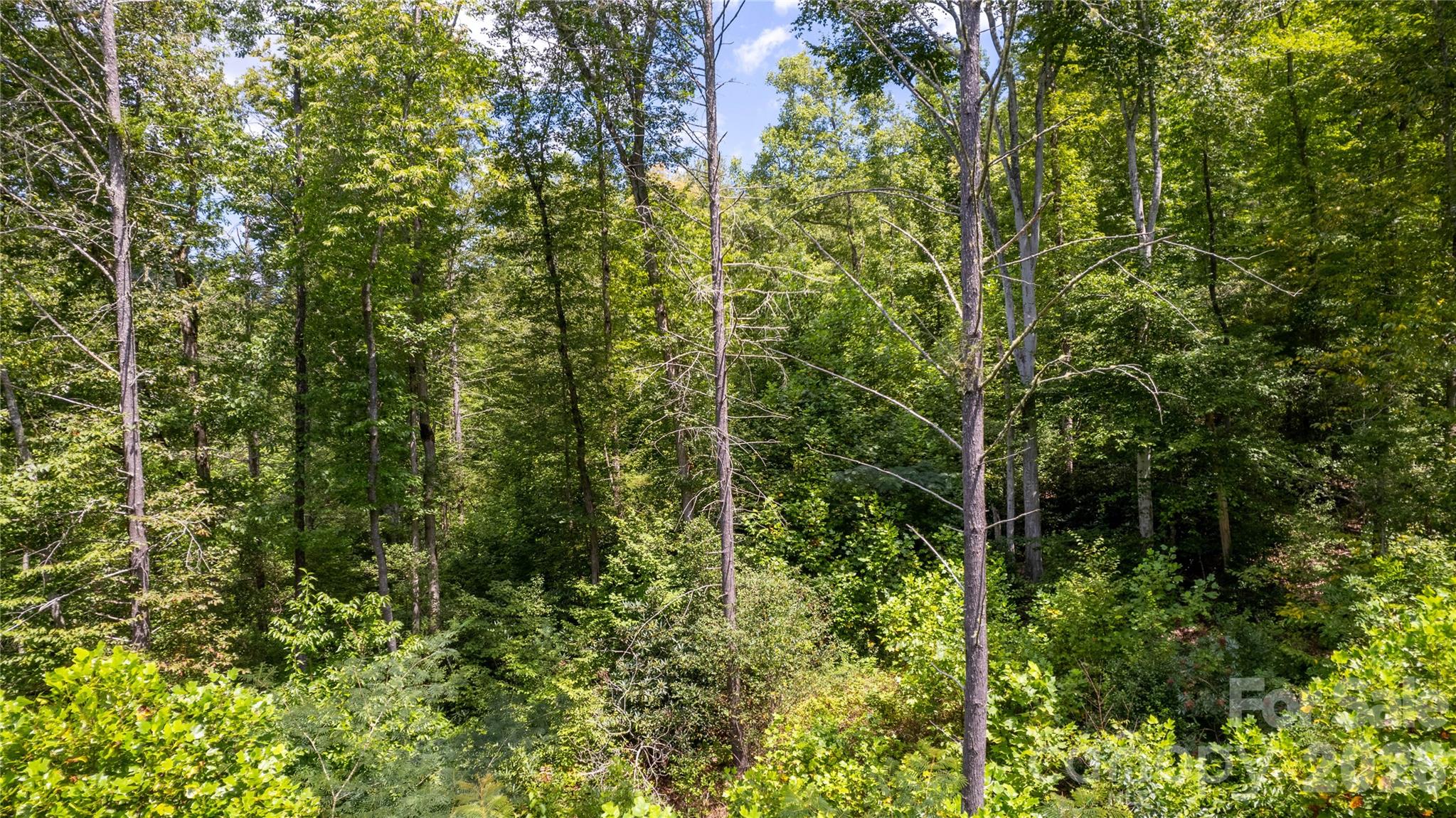 Tbd Collettsville Road 7 Property Photo 10