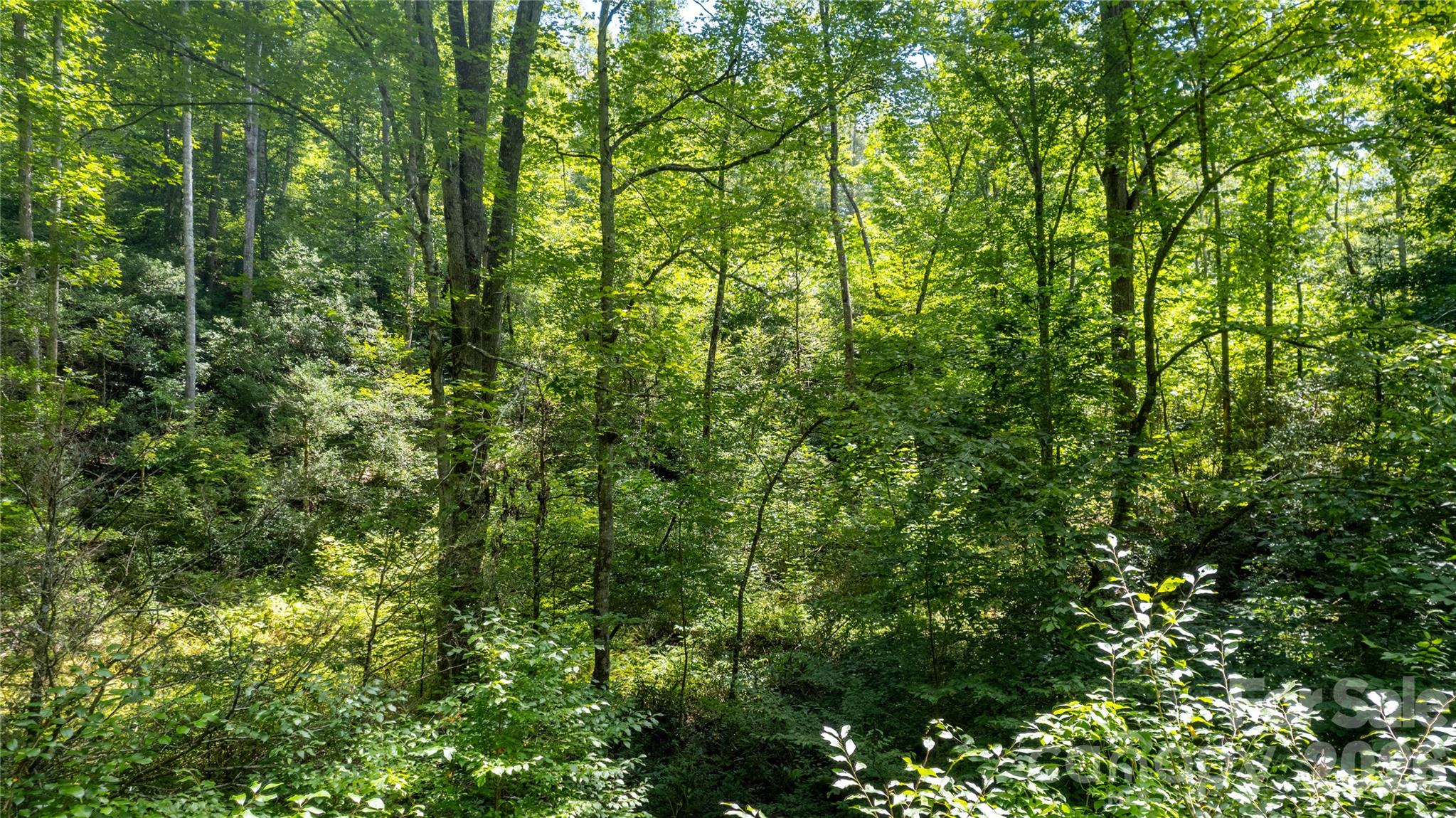 Tbd Collettsville Road 7 Property Photo 15