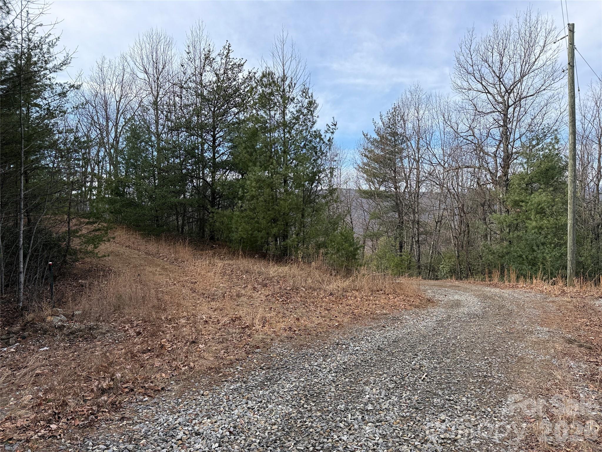 Tbd Maple Valley Lane 207 & 220 Property Photo 18