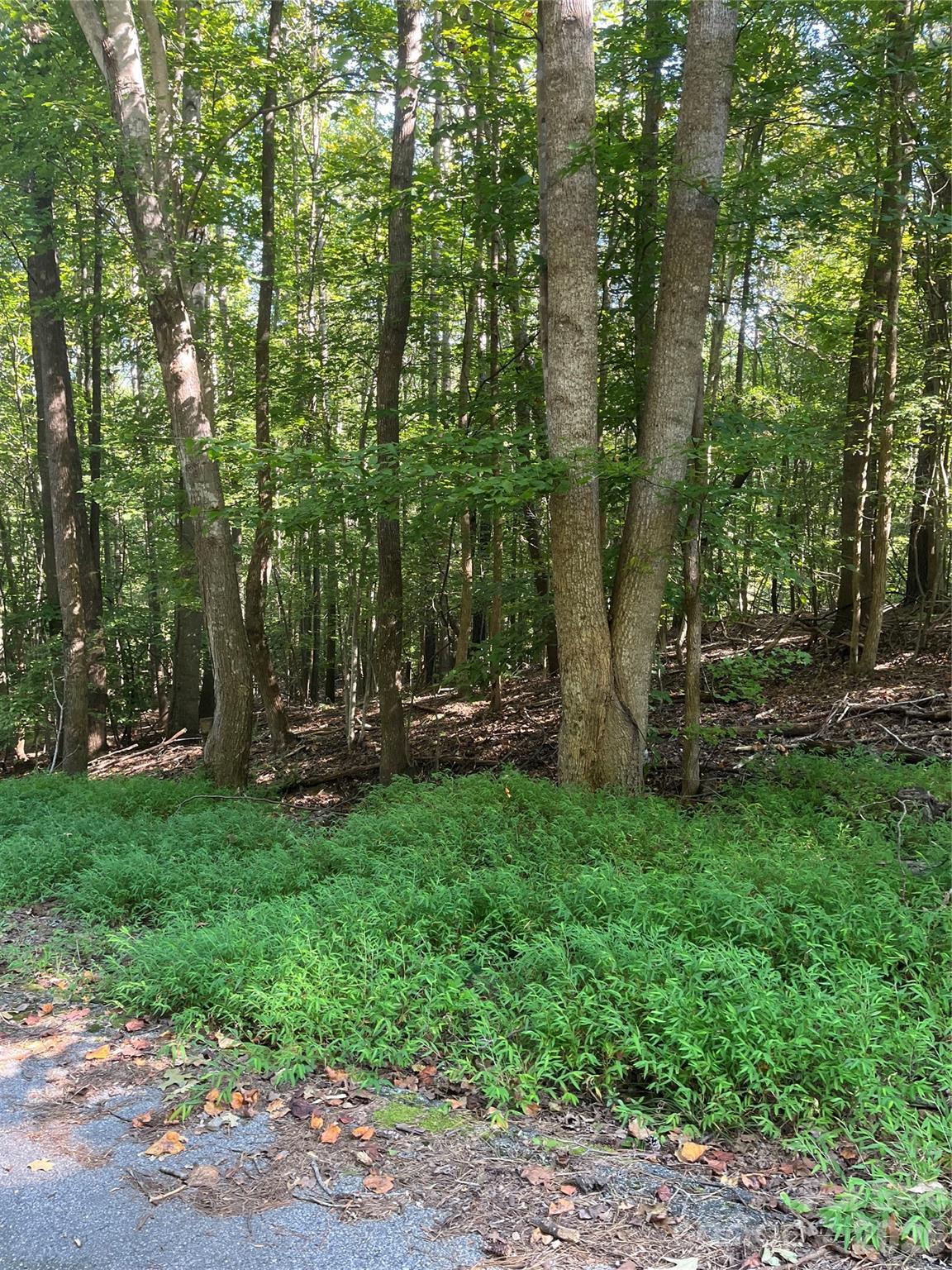 0 Lakeside Drive Property Photo 1