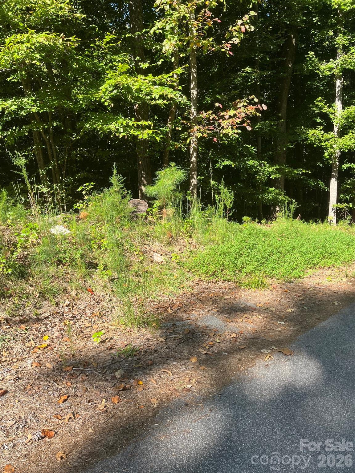 0 Lakeside Drive Property Photo 2