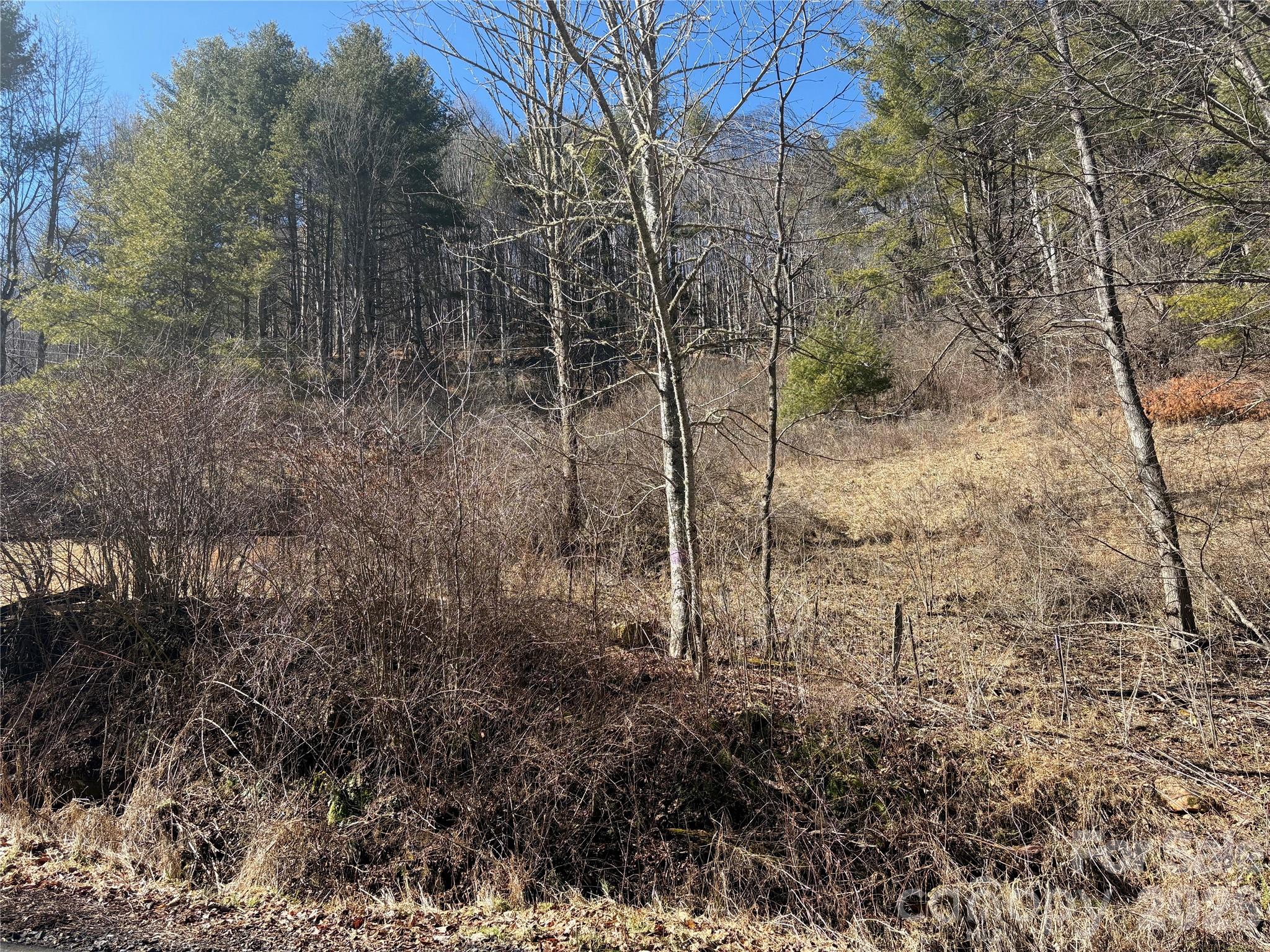 9999 Bee Log Road Property Photo 3