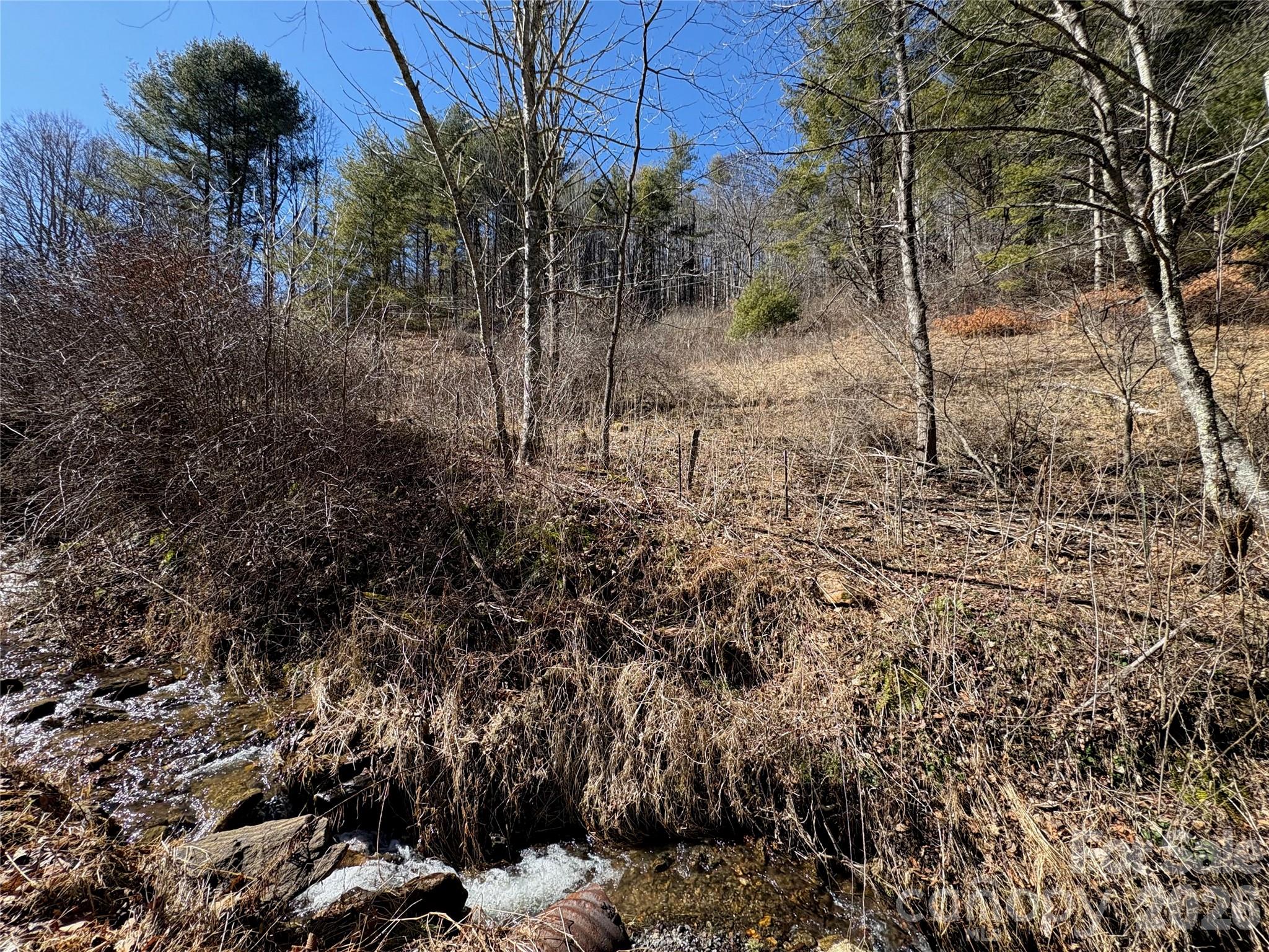9999 Bee Log Road Property Photo 4