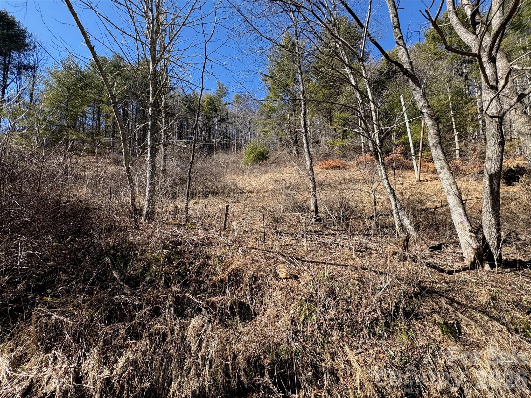 9999 Bee Log Road Property Photo 7