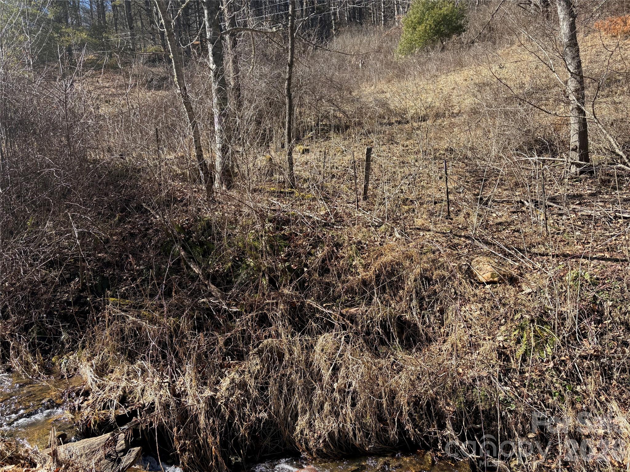 9999 Bee Log Road Property Photo 8