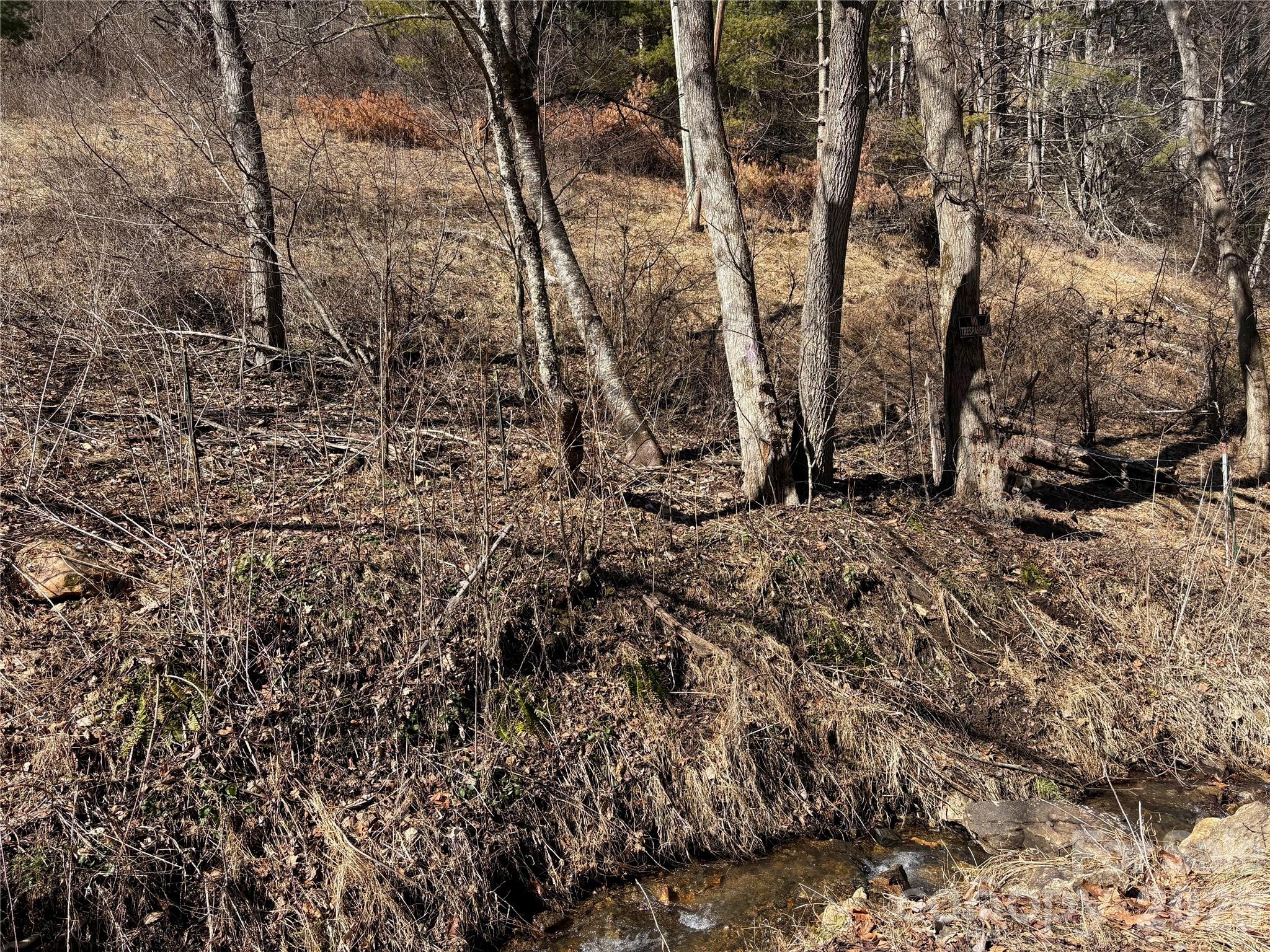 9999 Bee Log Road Property Photo 9