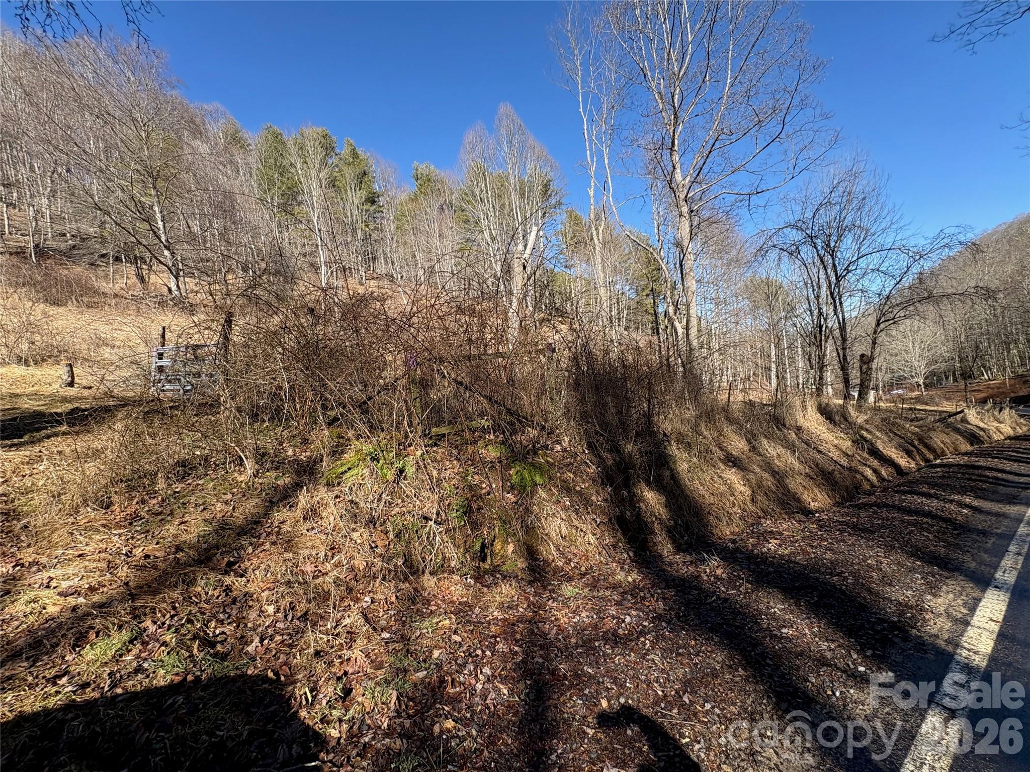 9999 Bee Log Road Property Photo 11