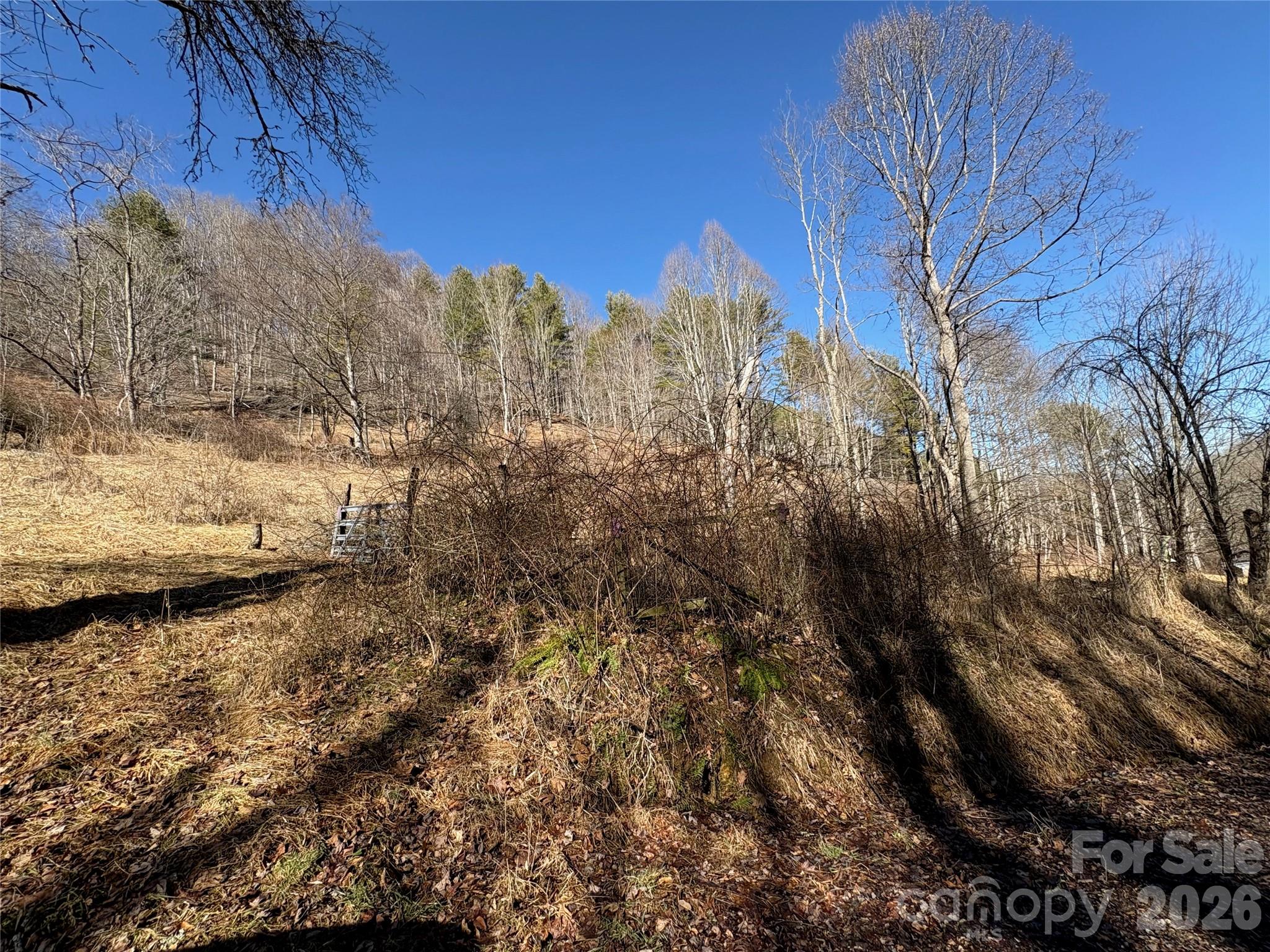 9999 Bee Log Road Property Photo 14