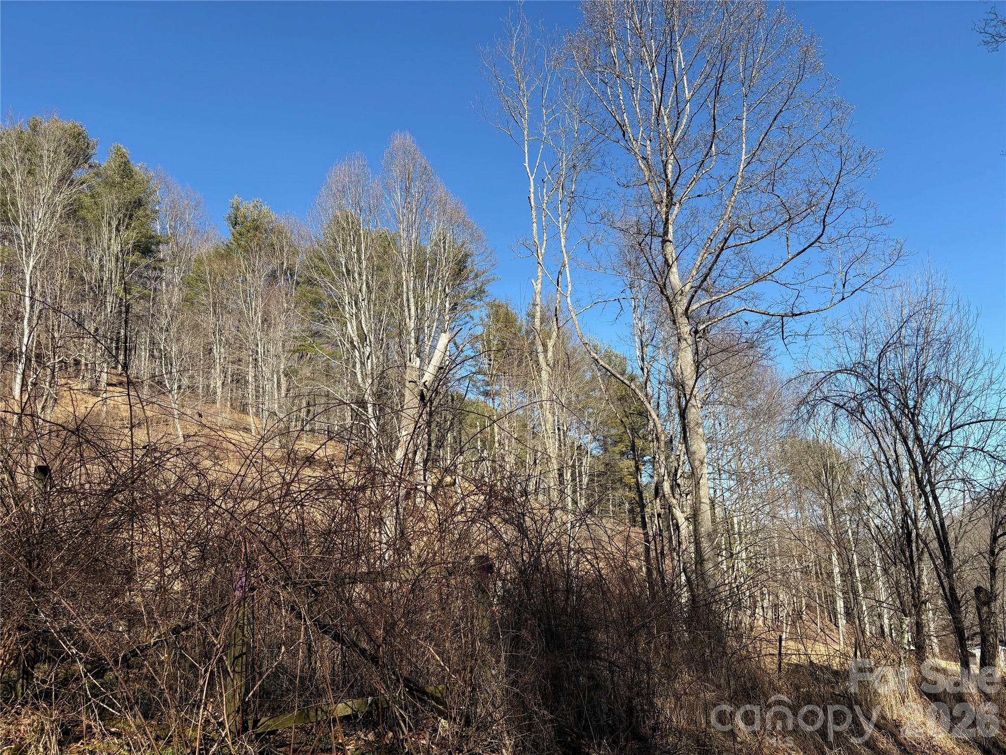 9999 Bee Log Road Property Photo 16