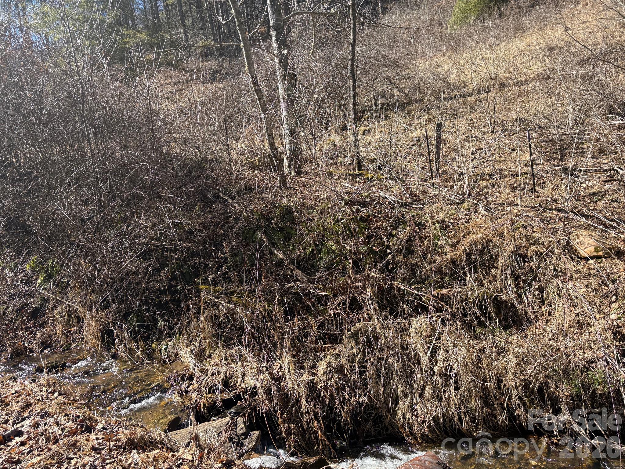 9999 Bee Log Road Property Photo 17