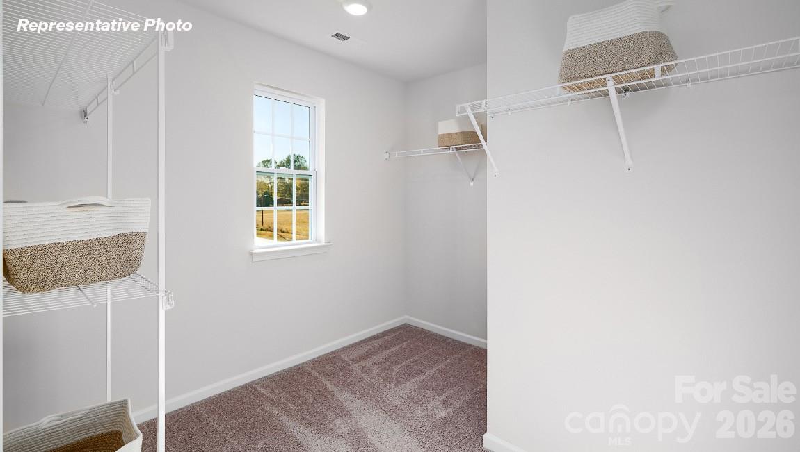 1133 Saloon Drive Property Photo 15