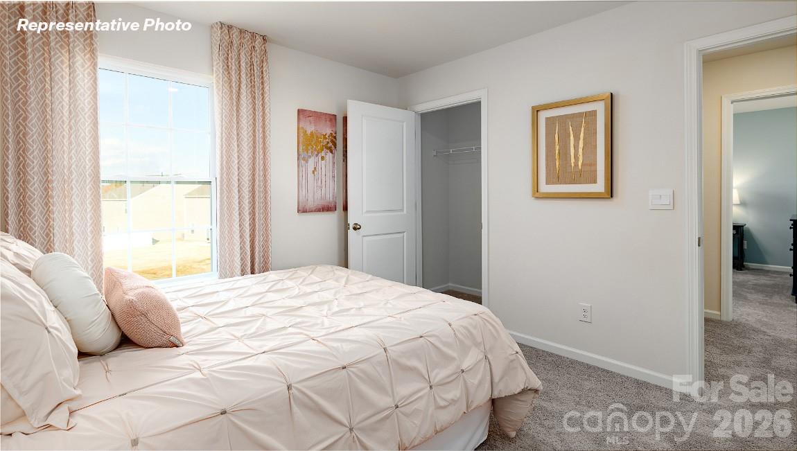 1133 Saloon Drive Property Photo 24