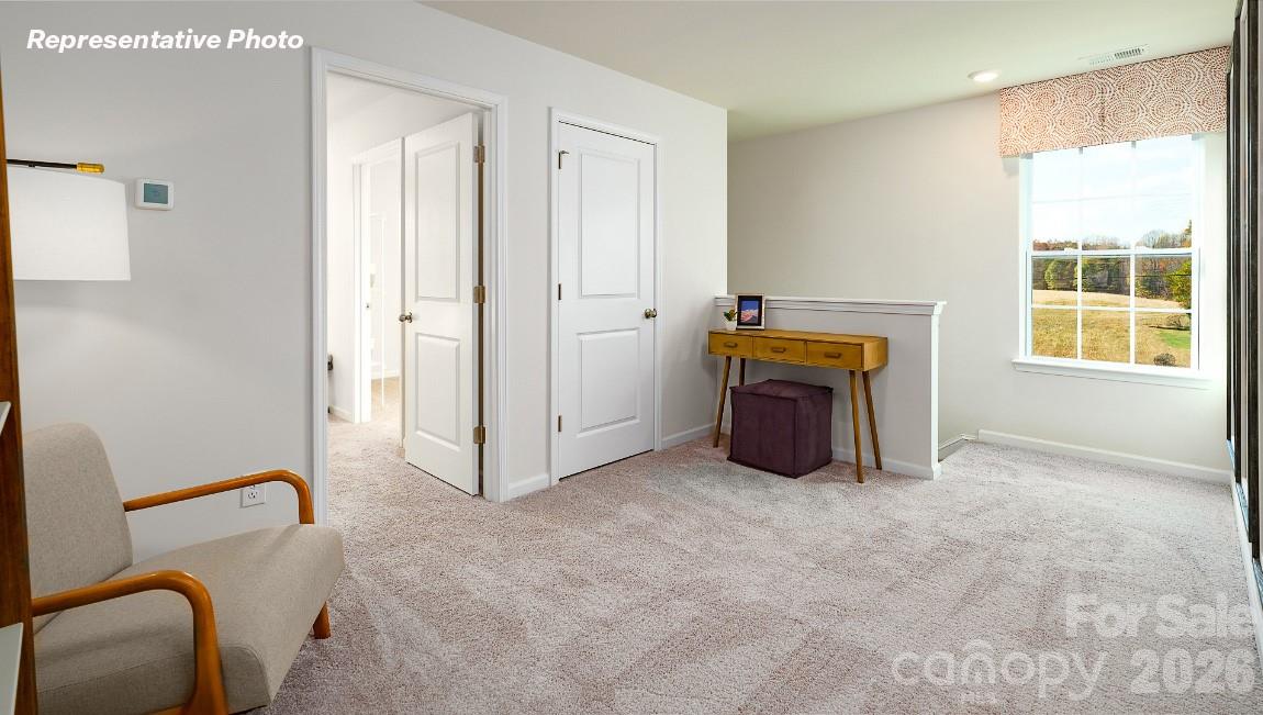 1133 Saloon Drive Property Photo 28