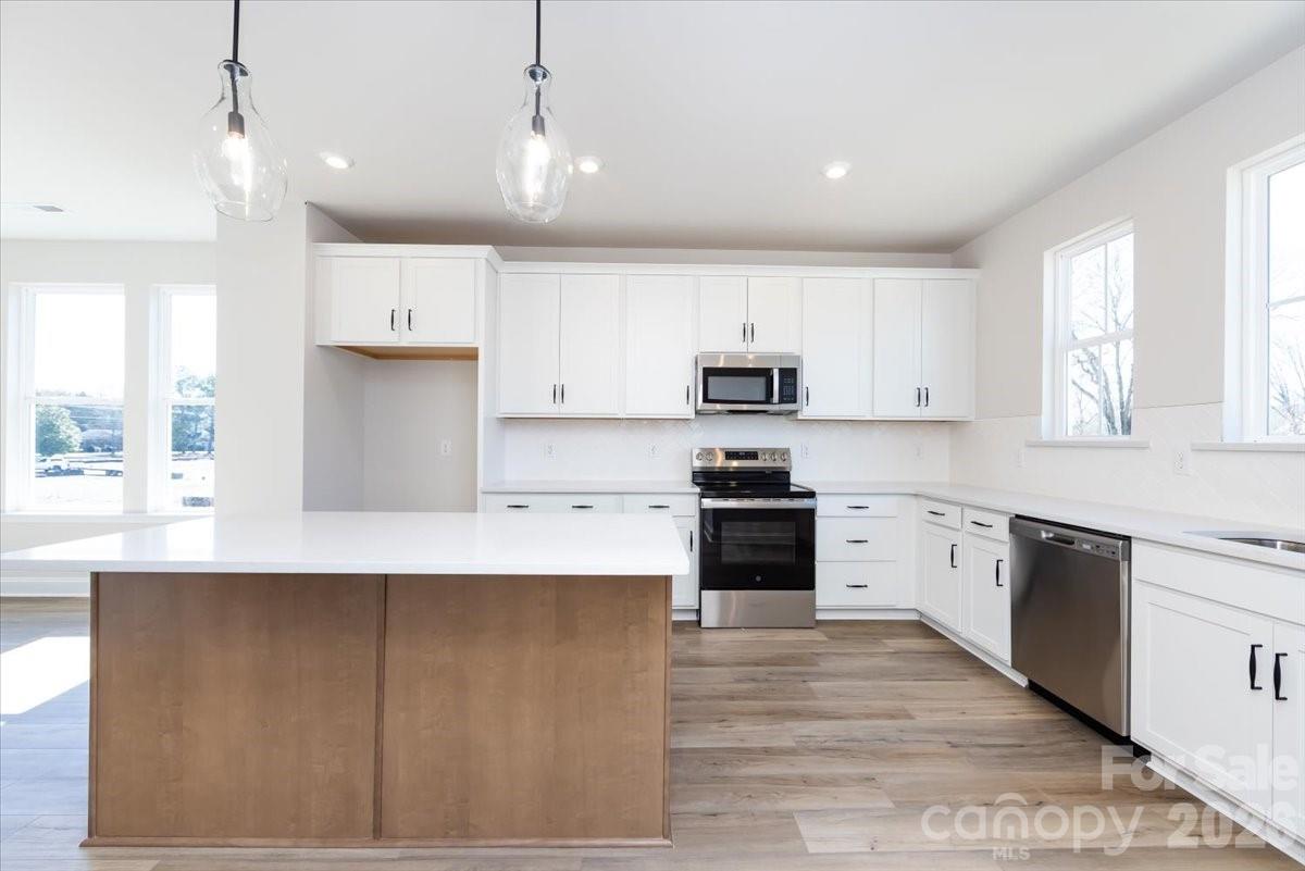 4623 Swan Meadow Lane Property Photo 9