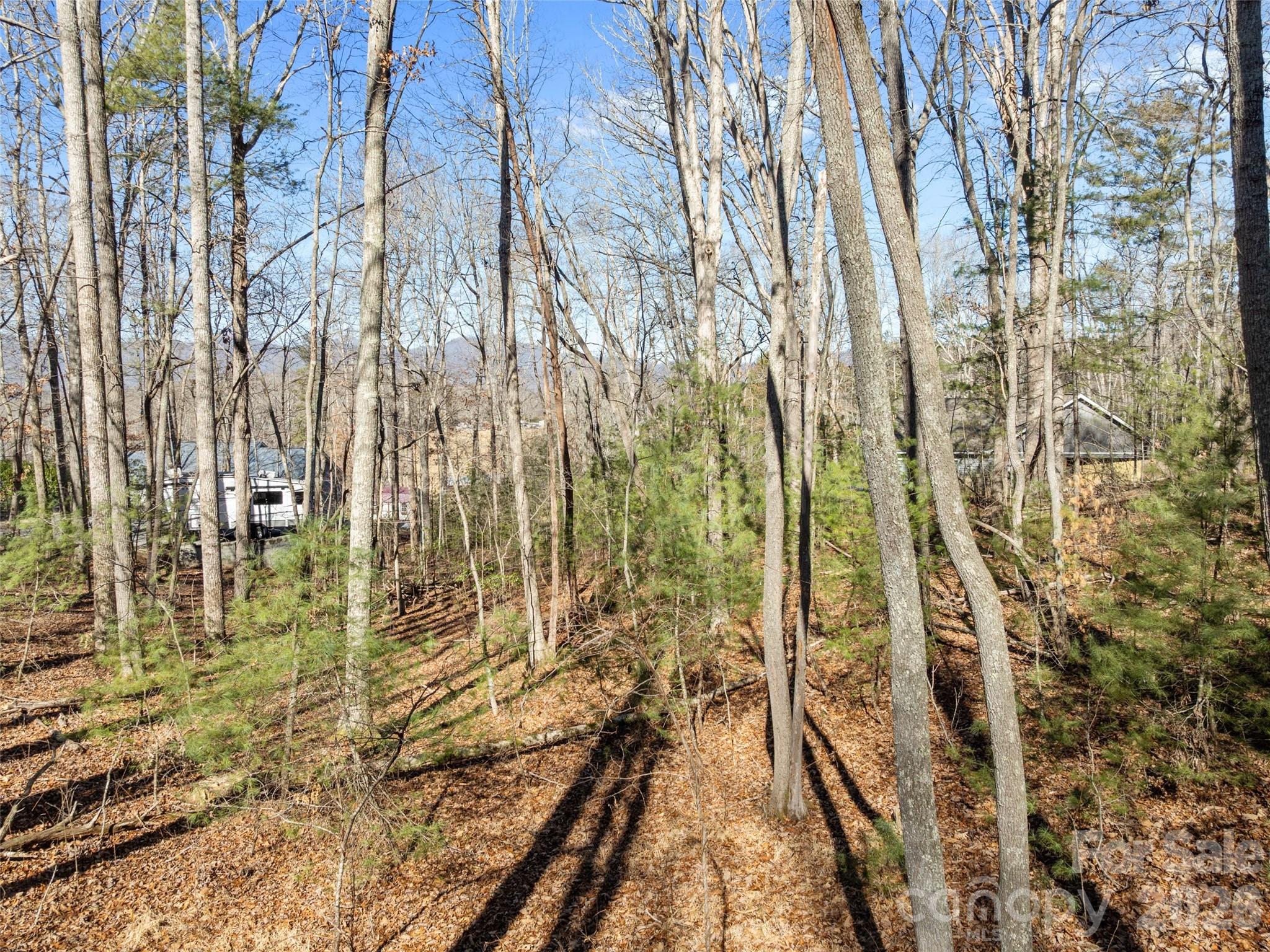 Lot 7 Mountain Heritage Place 7 Property Photo 3