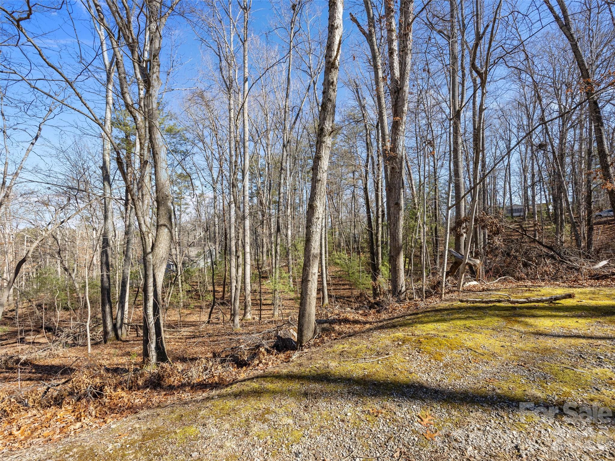 Lot 7 Mountain Heritage Place 7 Property Photo 5