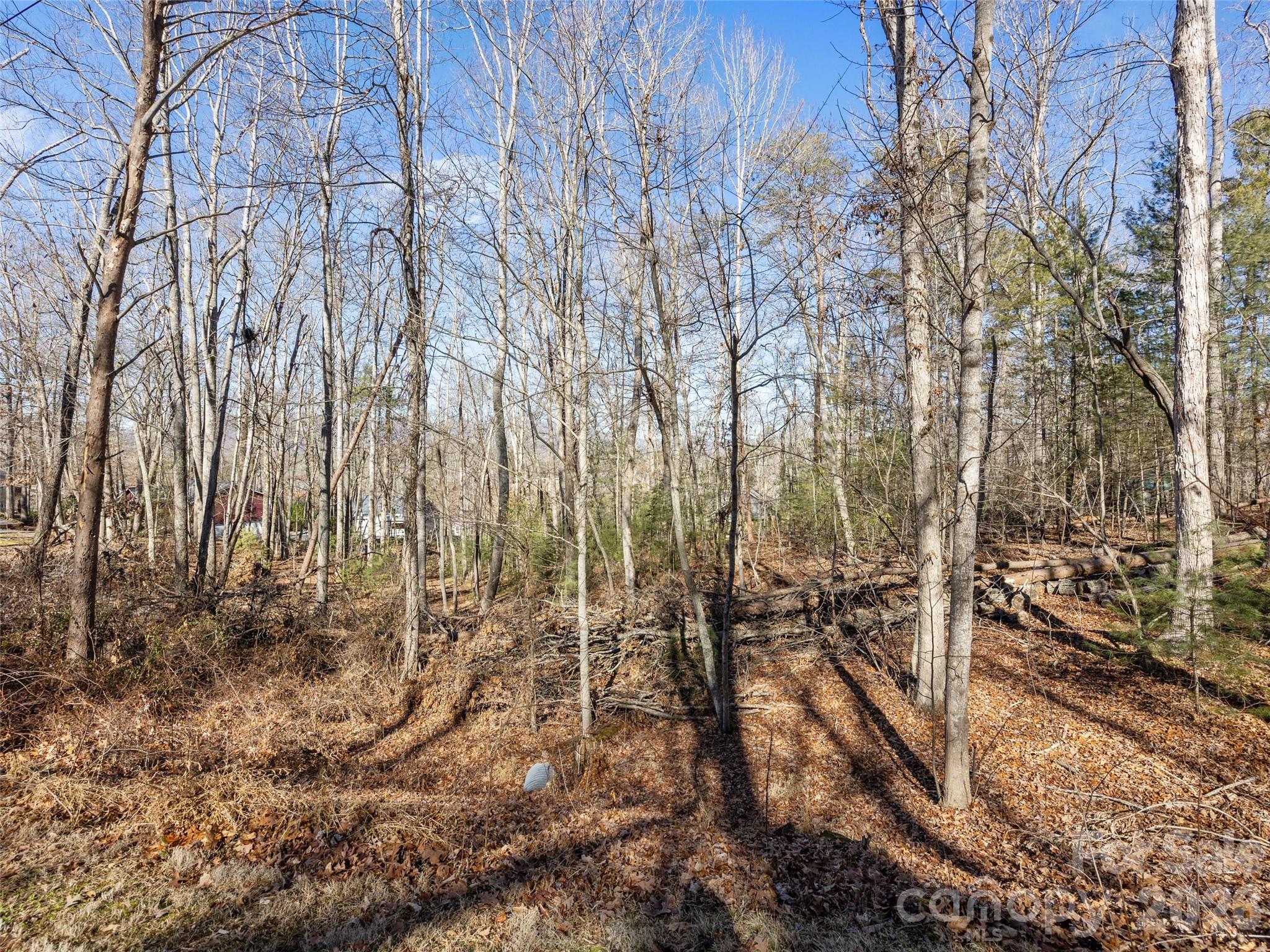 Lot 7 Mountain Heritage Place 7 Property Photo 6