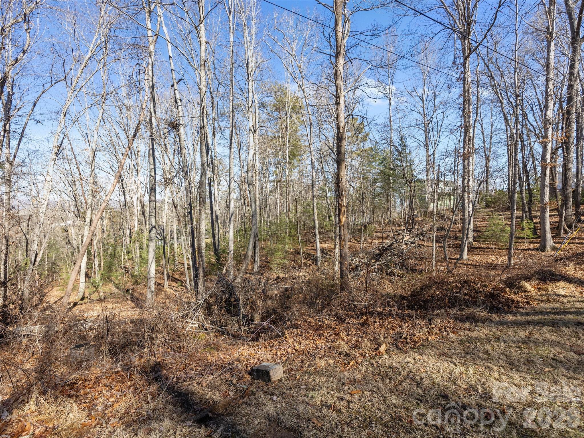 Lot 7 Mountain Heritage Place 7 Property Photo 7