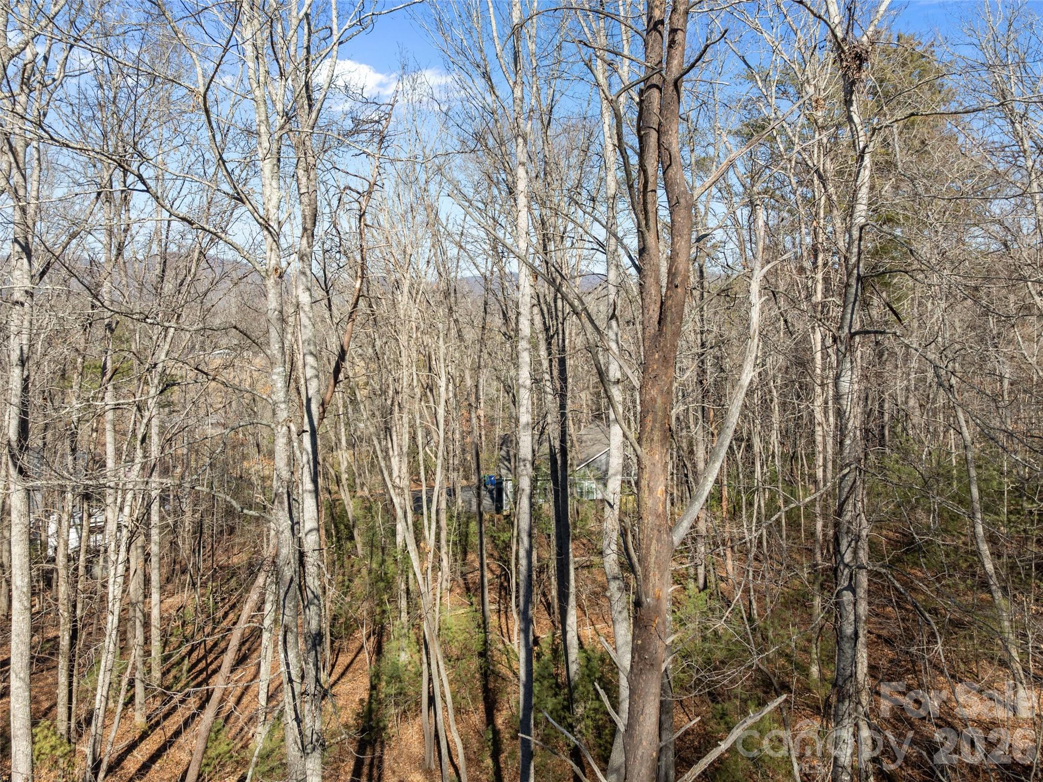 Lot 7 Mountain Heritage Place 7 Property Photo 8