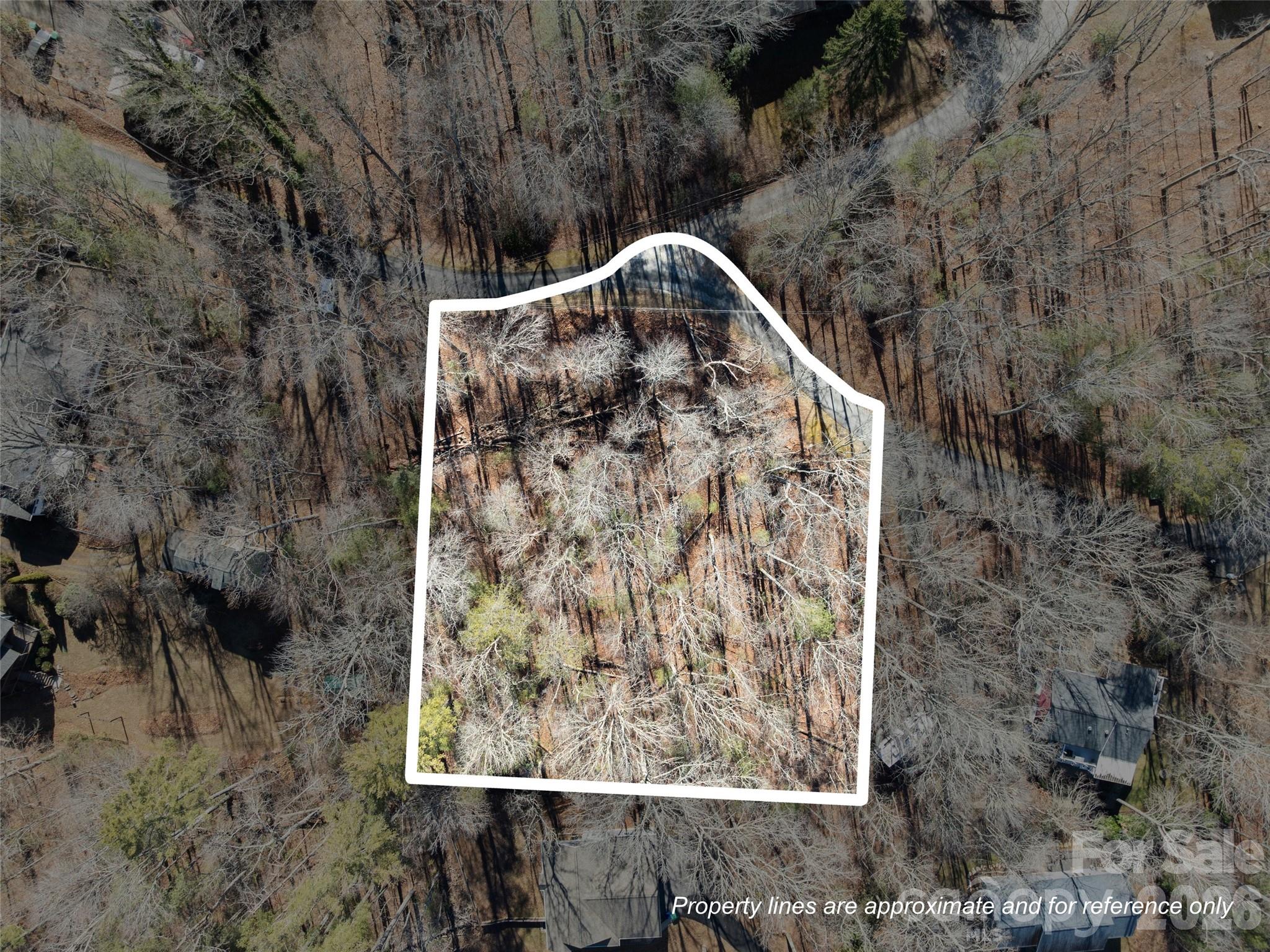 Lot 7 Mountain Heritage Place 7 Property Photo 9