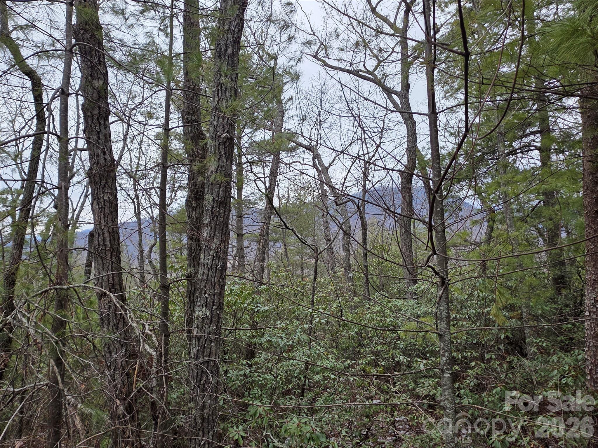 Lot 24a-28a Quail Drive Property Photo 3