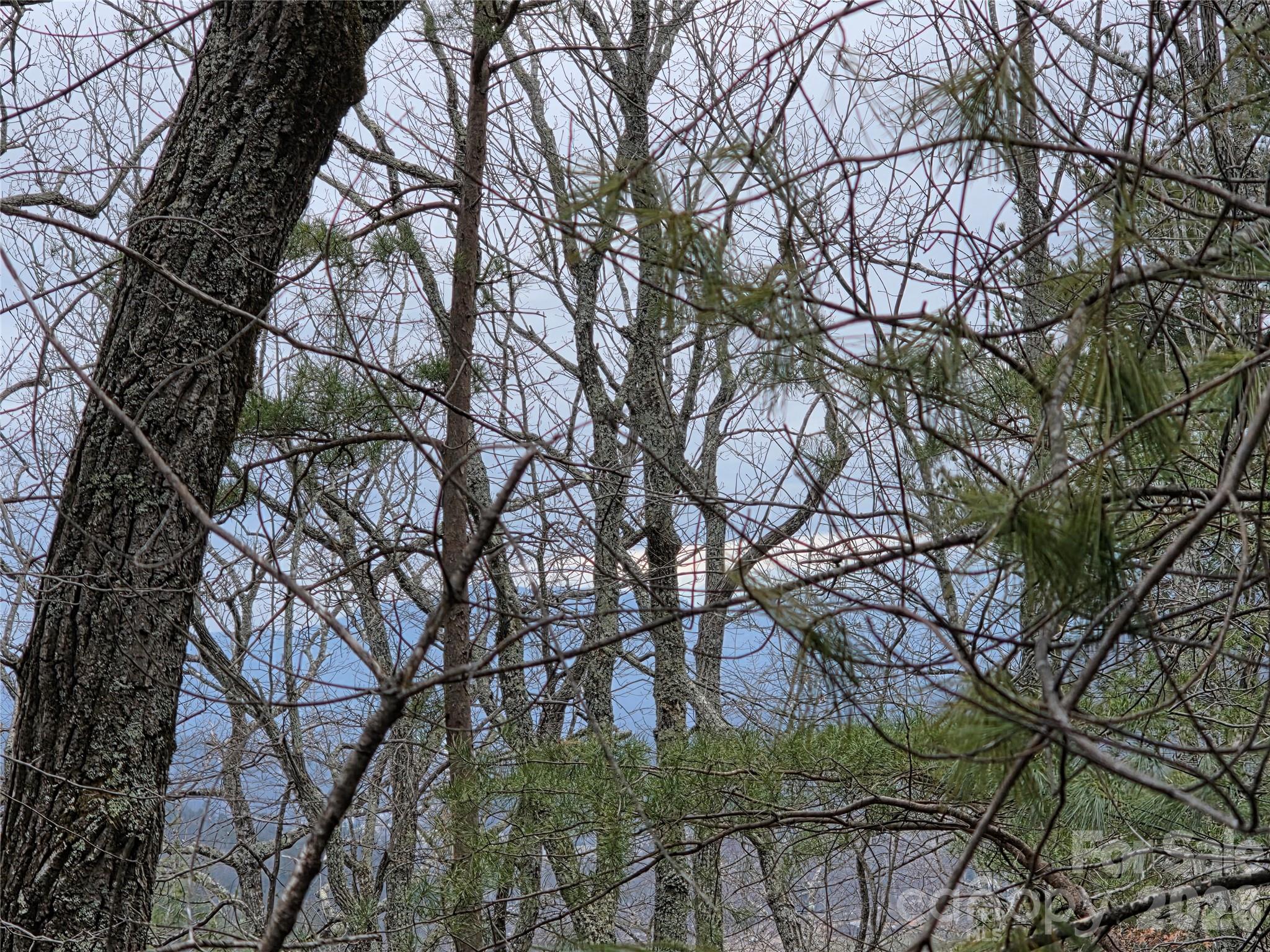 Lot 24a-28a Quail Drive Property Photo 5
