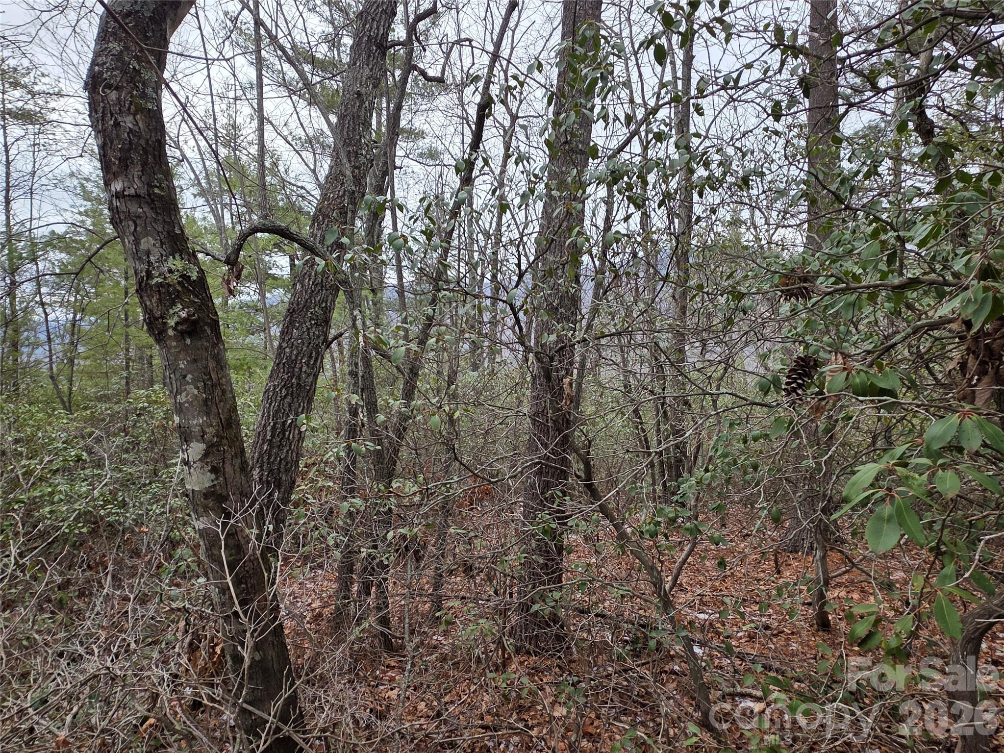 Lot 24a-28a Quail Drive Property Photo 6