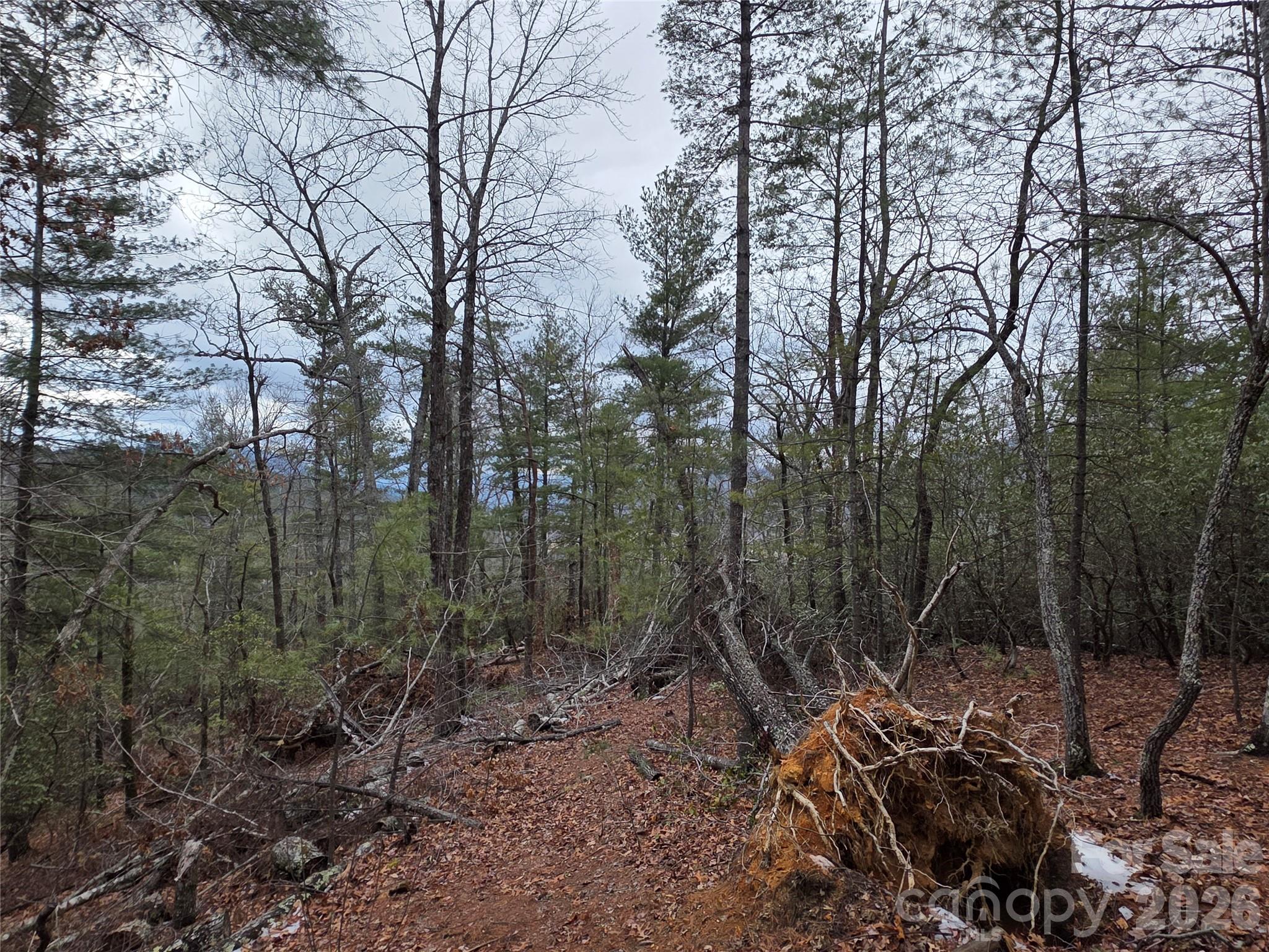 Lot 24a-28a Quail Drive Property Photo 8