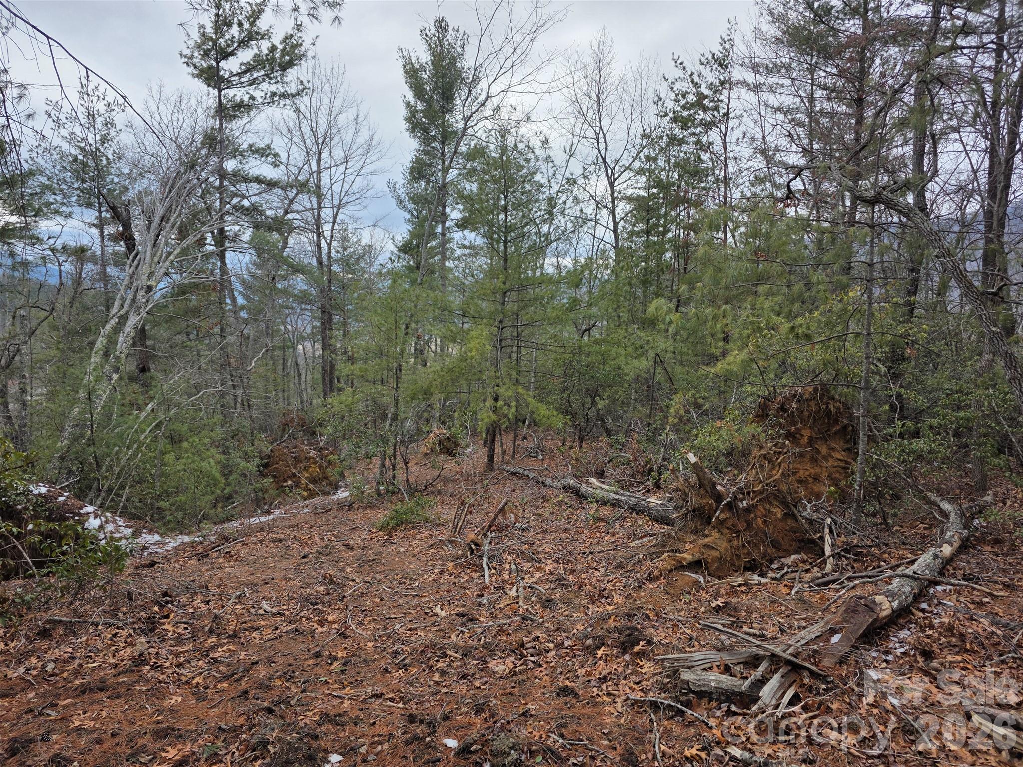 Lot 24a-28a Quail Drive Property Photo 10
