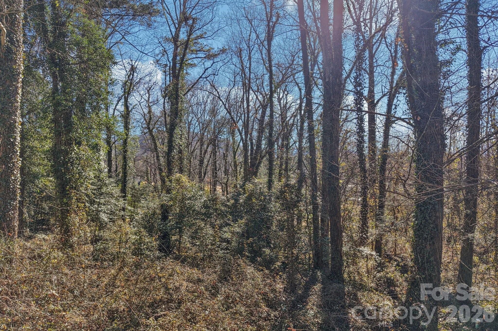 71,73,75 Forest Drive Property Photo 26
