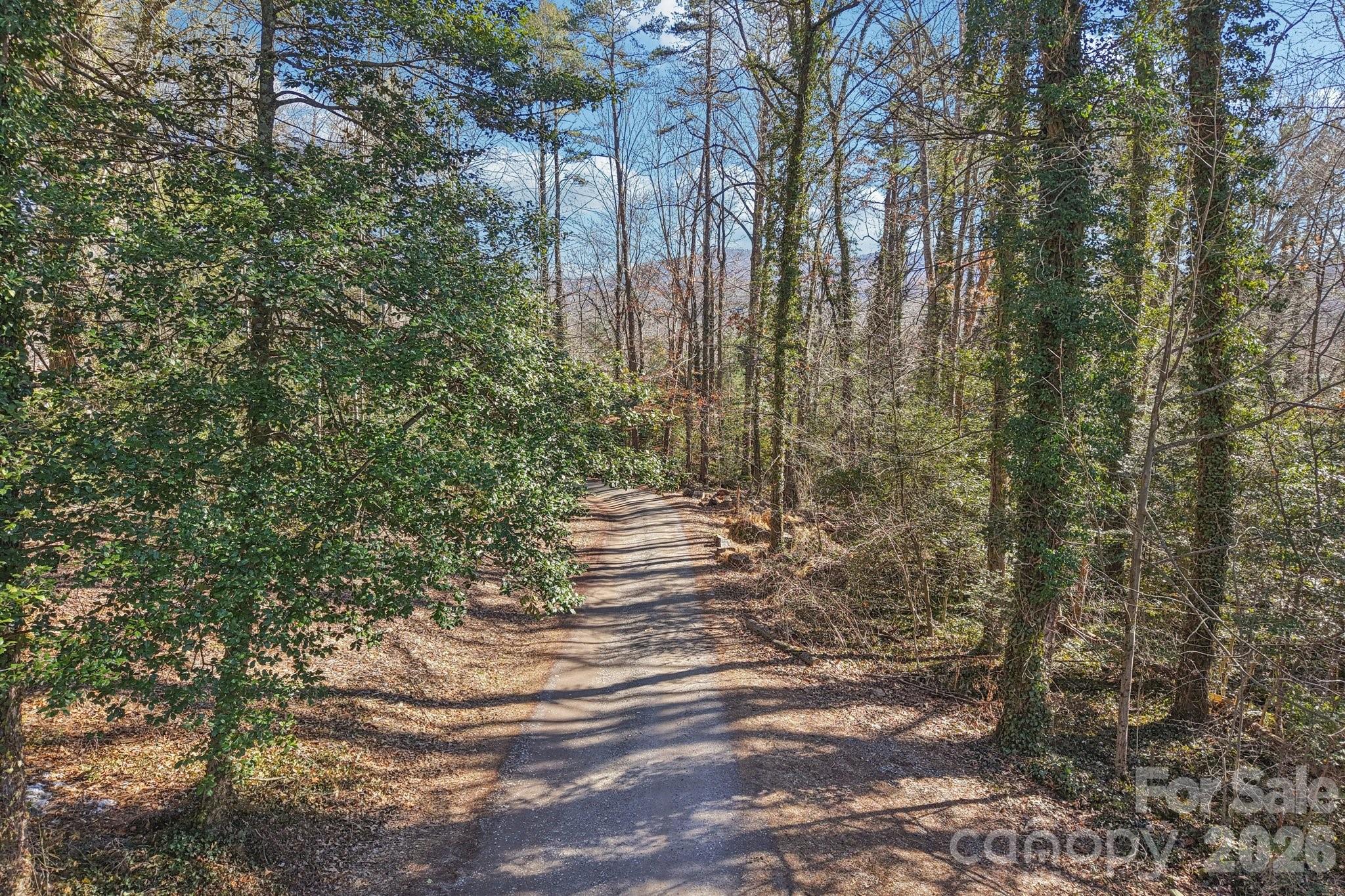 71,73,75 Forest Drive Property Photo 33