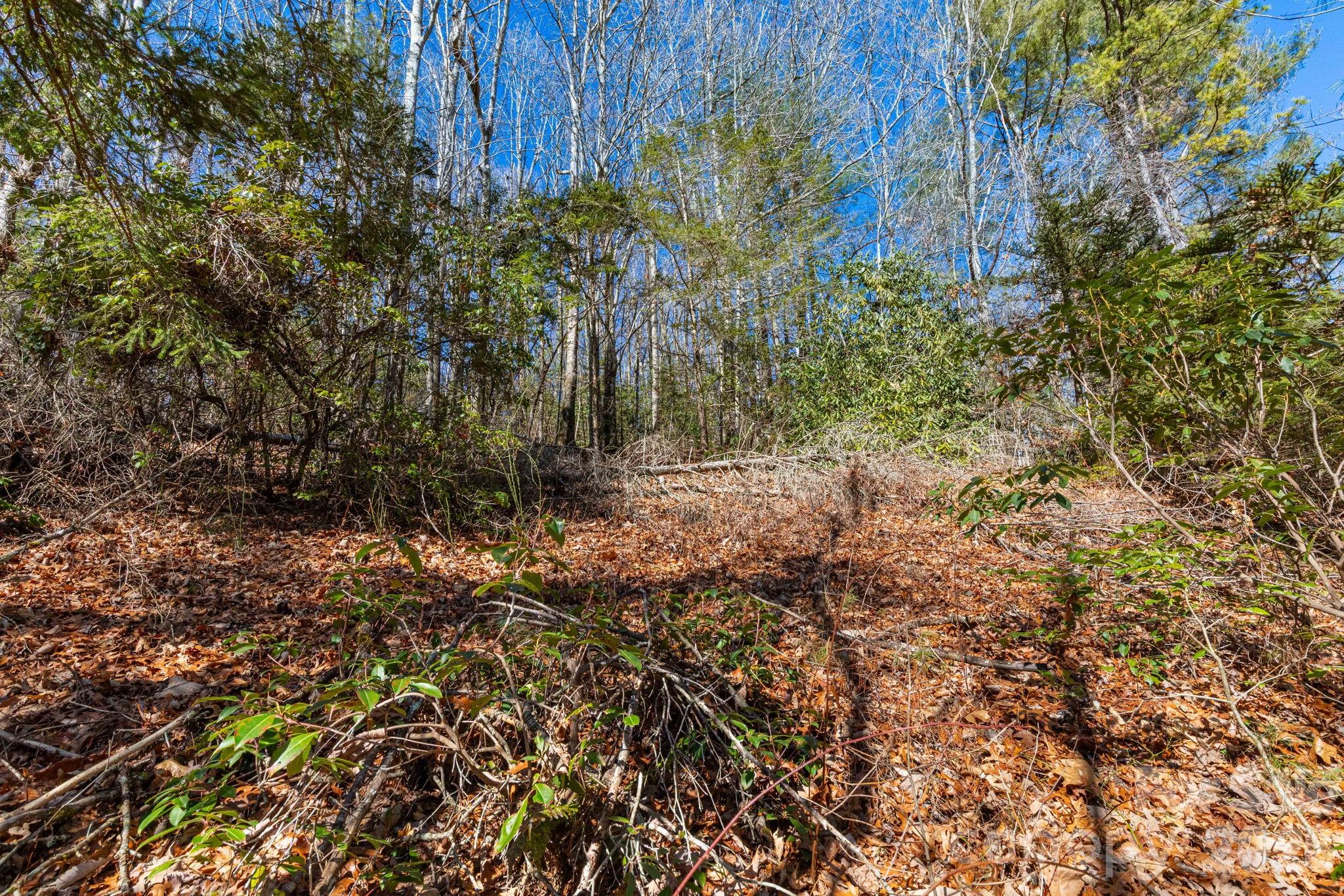 999 Flat Creek Valley Road Property Photo 3