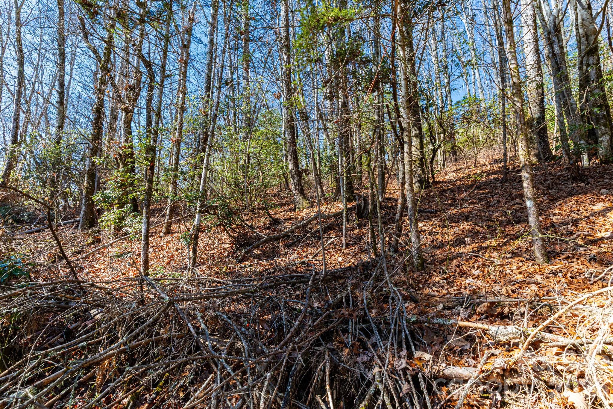 999 Flat Creek Valley Road Property Photo 4