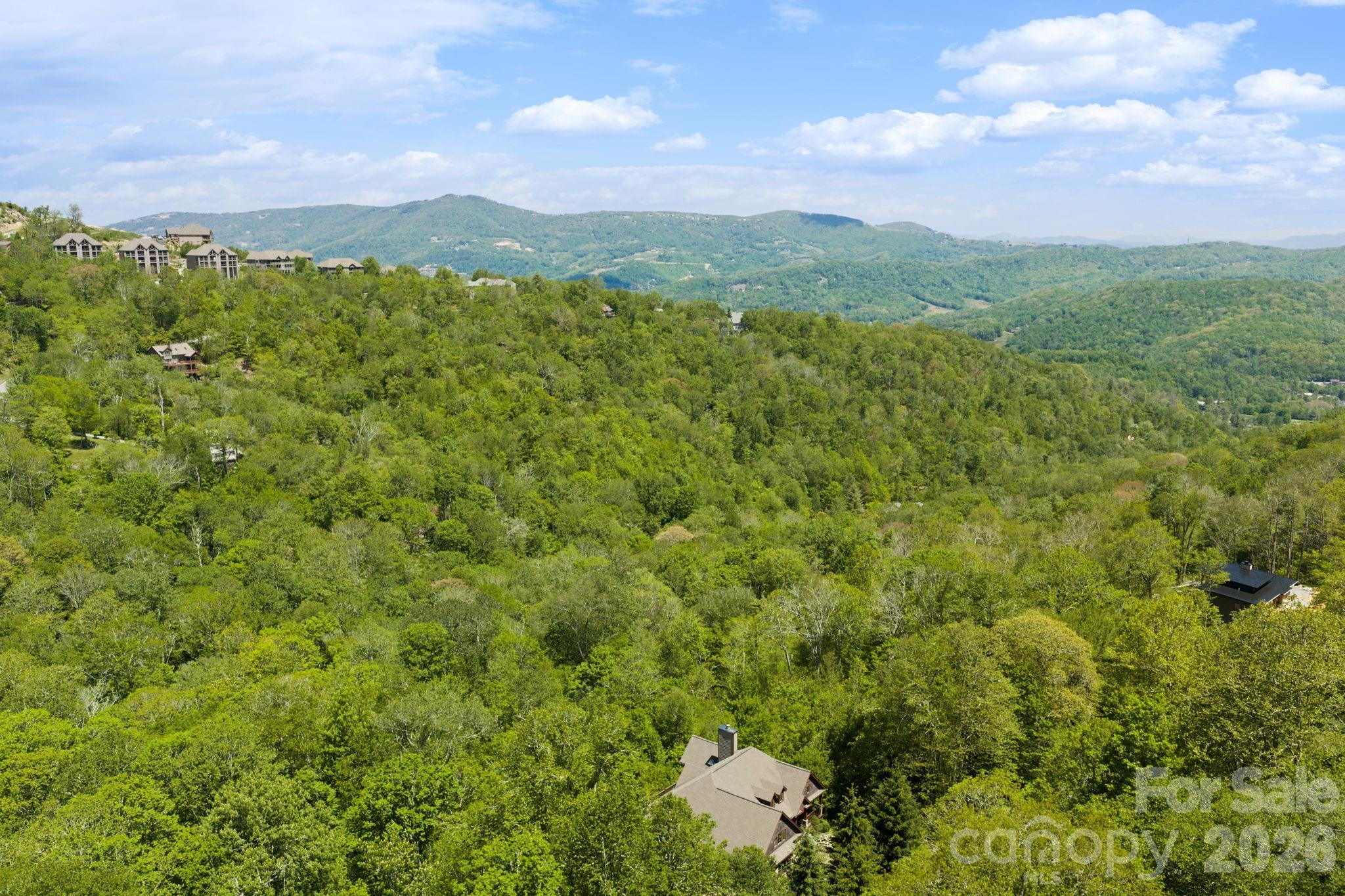 1226 Grouse Moor Drive Property Photo 5