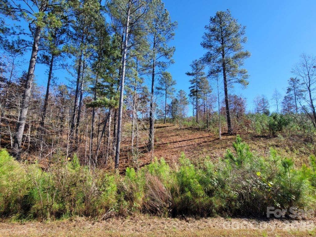 2076 Island View Lane Property Photo 3