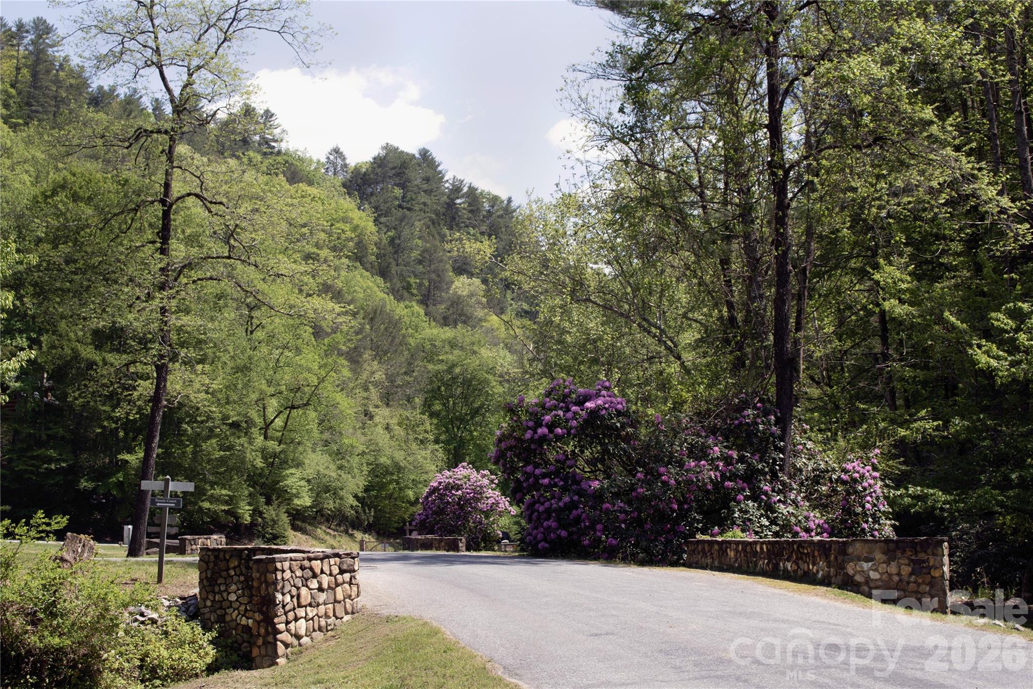 0 Big Sky Road Property Photo 3