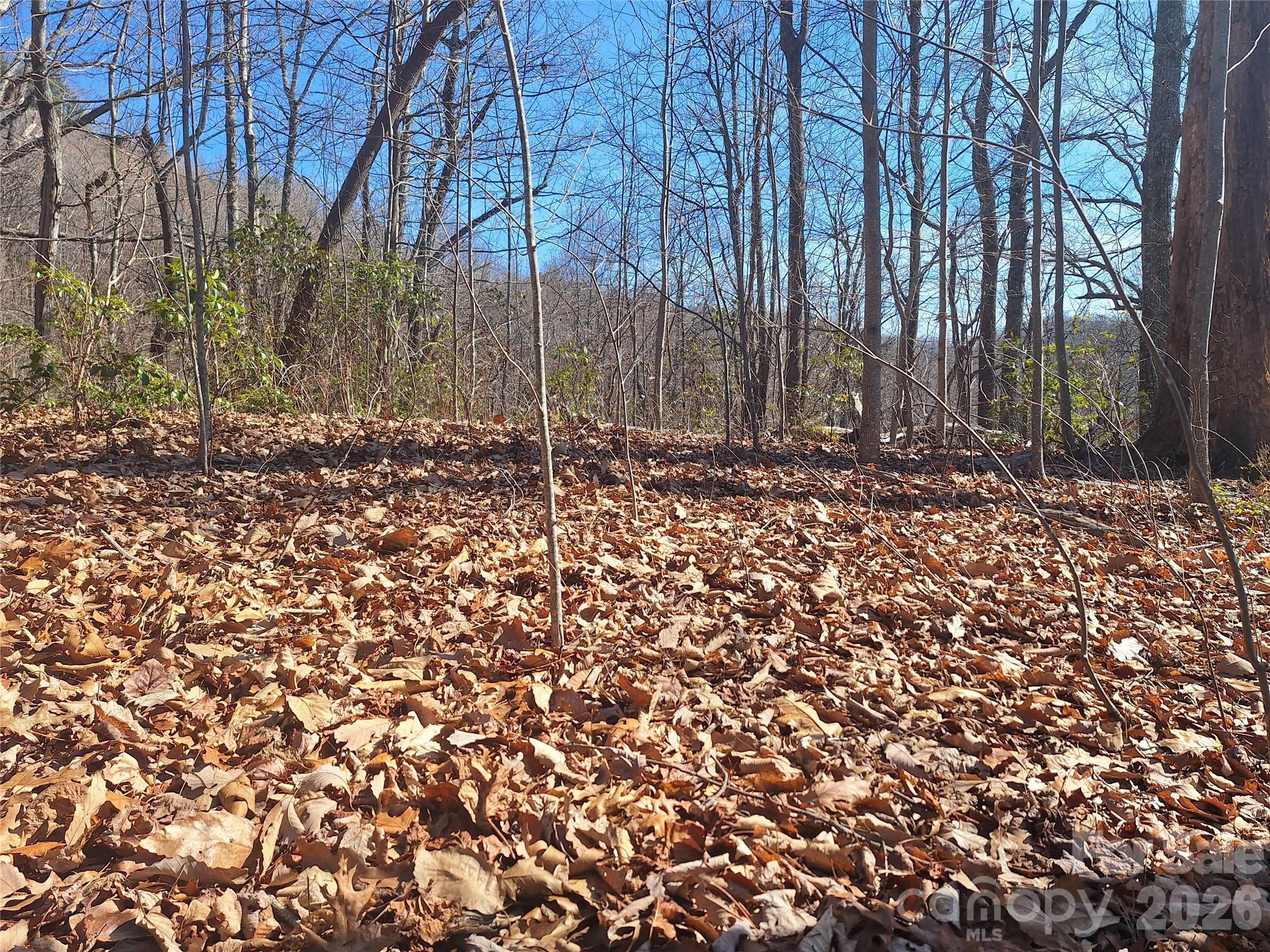 965 Wolf Pen Road Property Photo 1