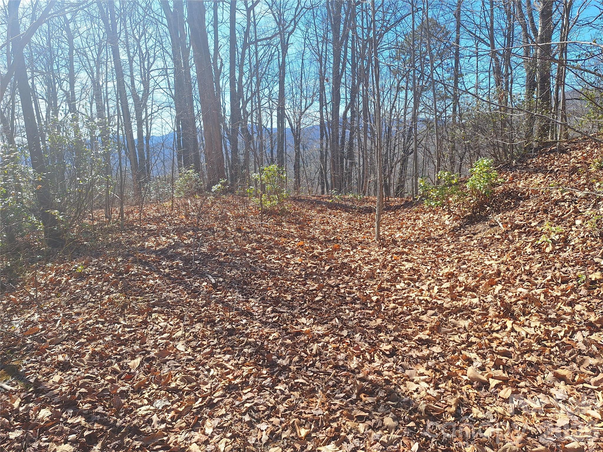 965 Wolf Pen Road Property Photo 2