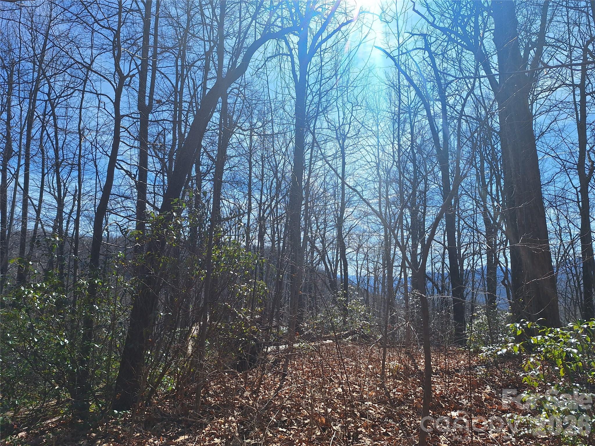965 Wolf Pen Road Property Photo 3
