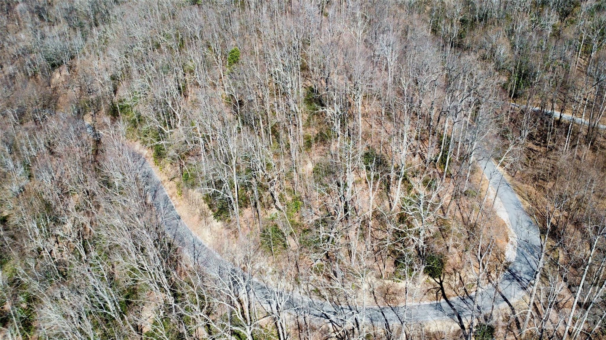 965 Wolf Pen Road Property Photo 7