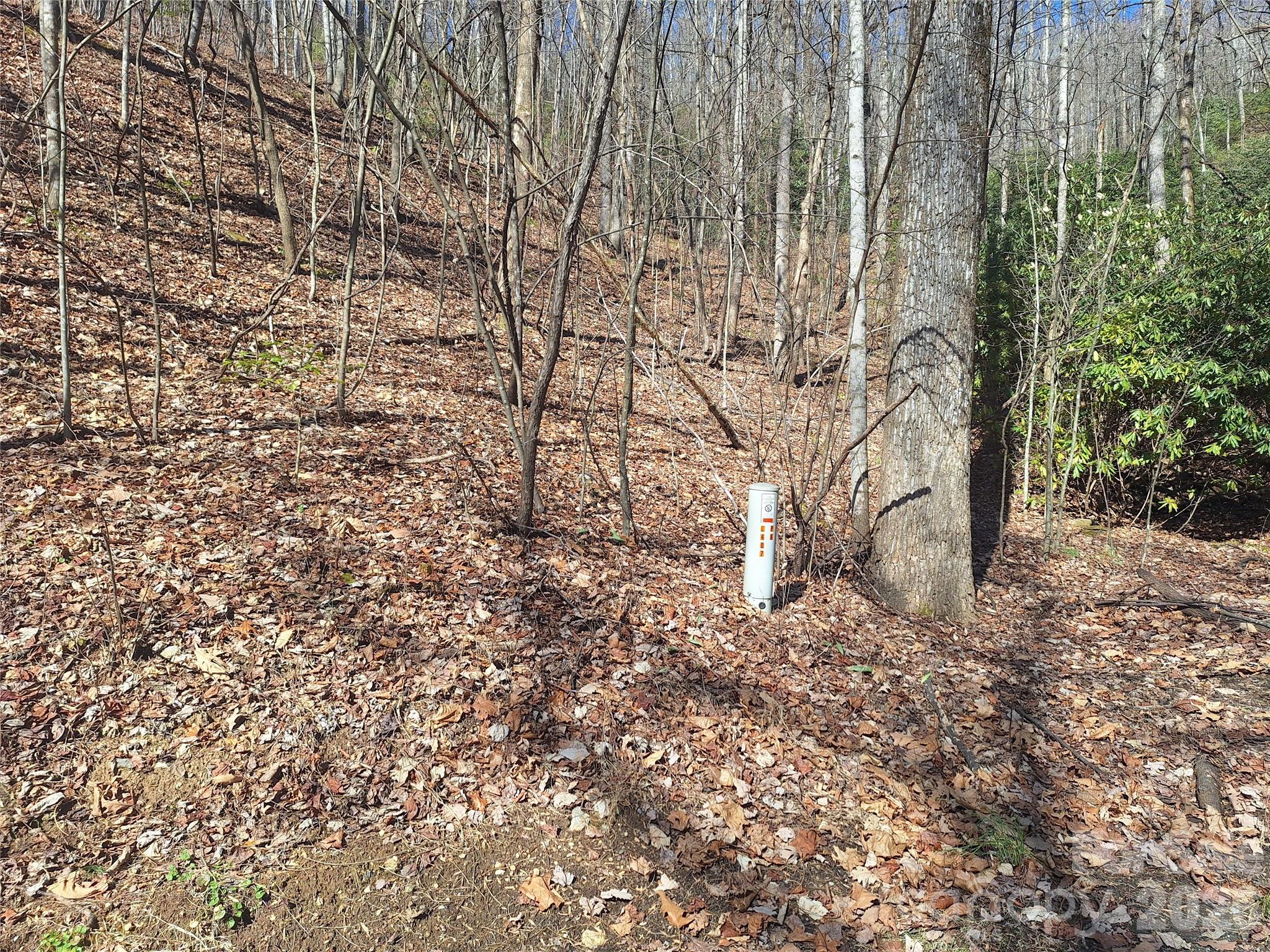965 Wolf Pen Road Property Photo 10