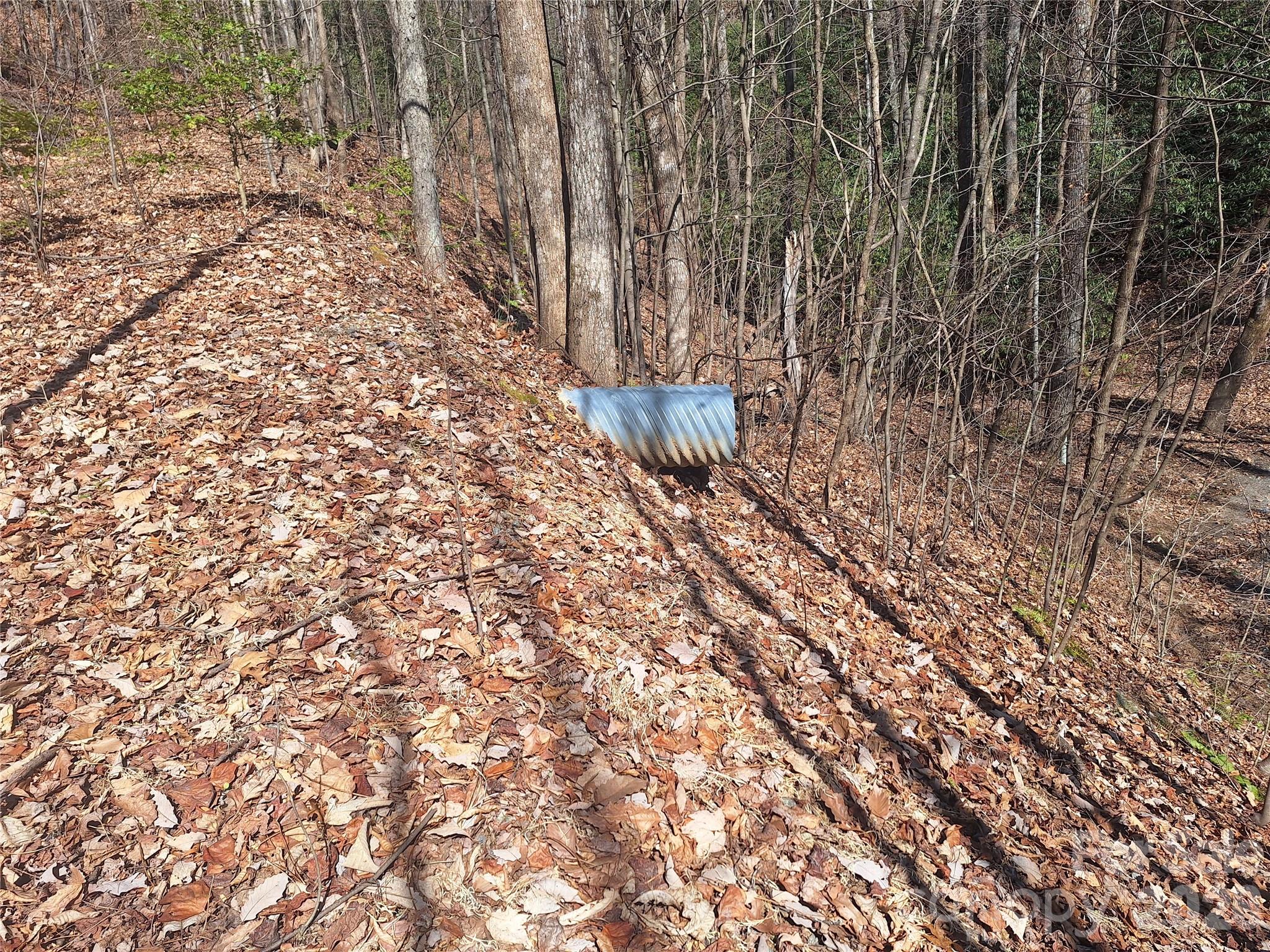 965 Wolf Pen Road Property Photo 11