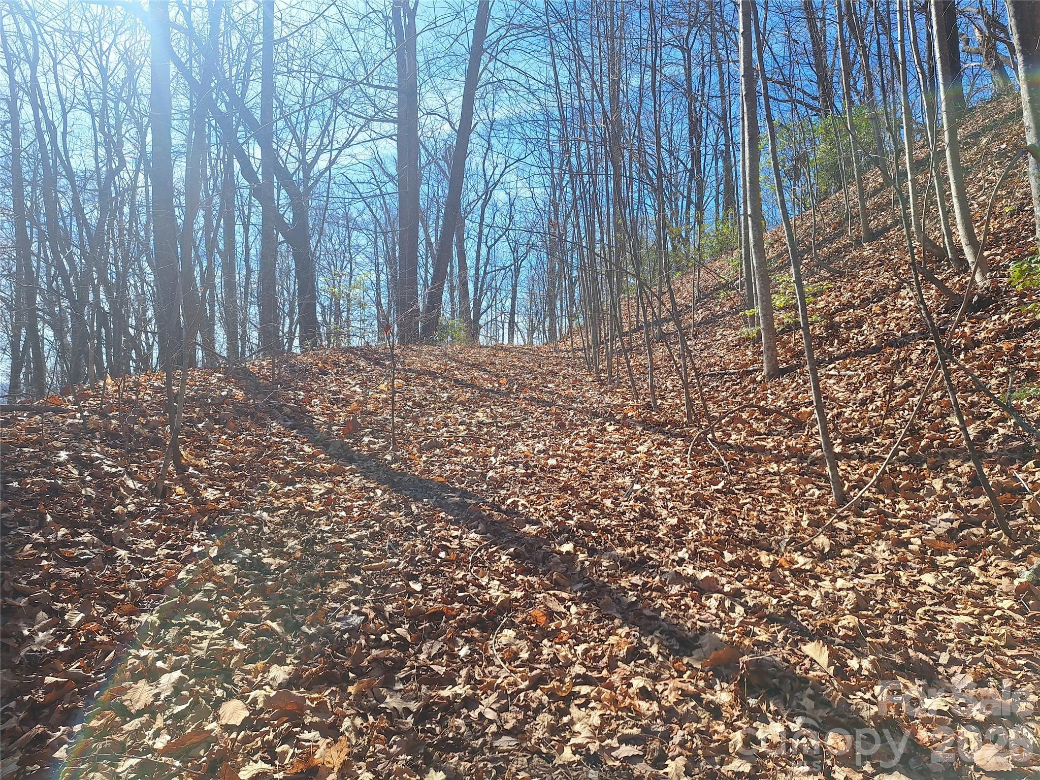 965 Wolf Pen Road Property Photo 19