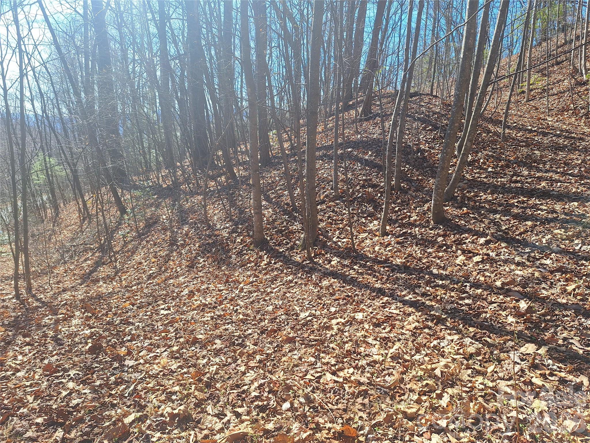 965 Wolf Pen Road Property Photo 20