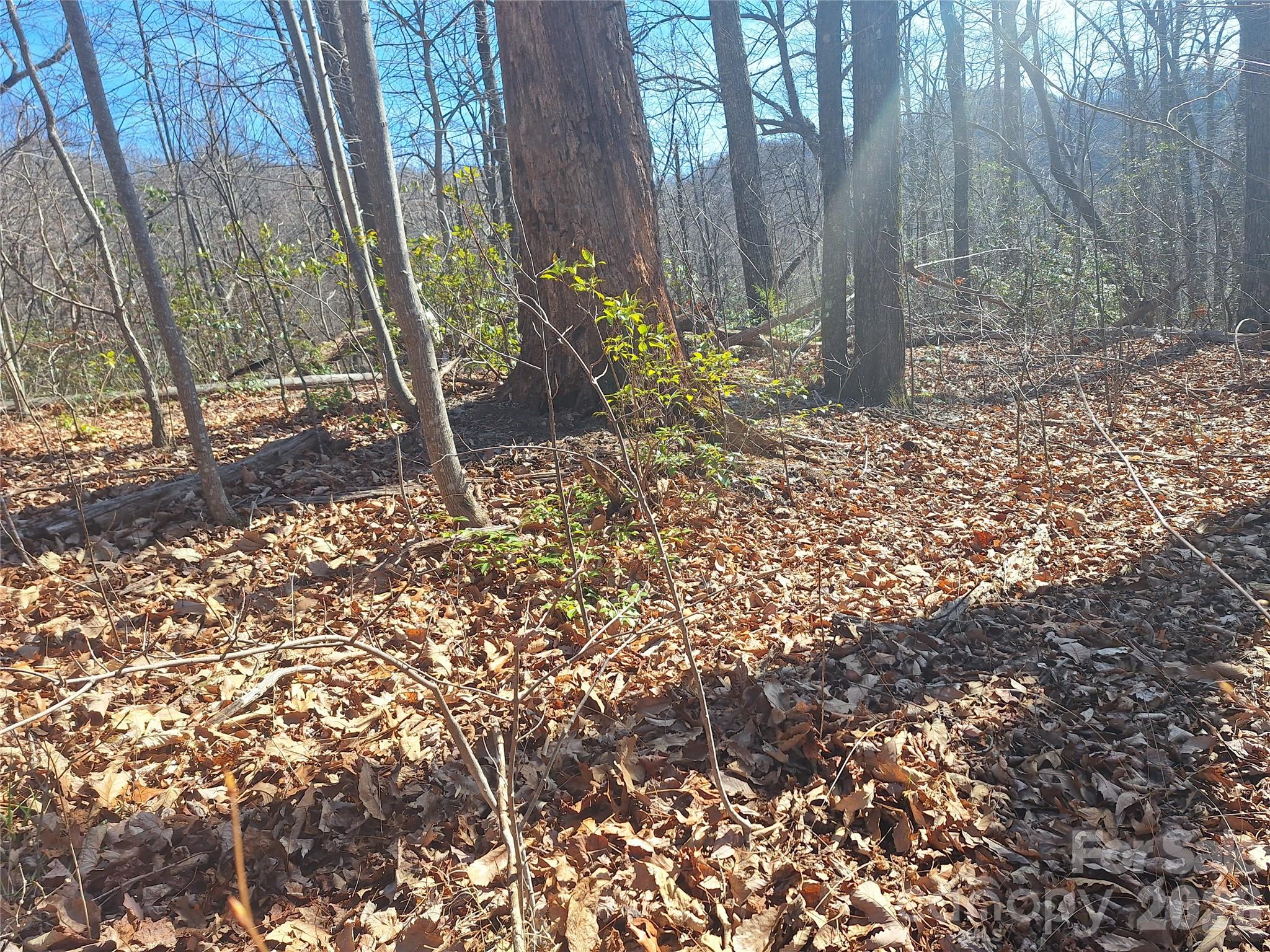 965 Wolf Pen Road Property Photo 21