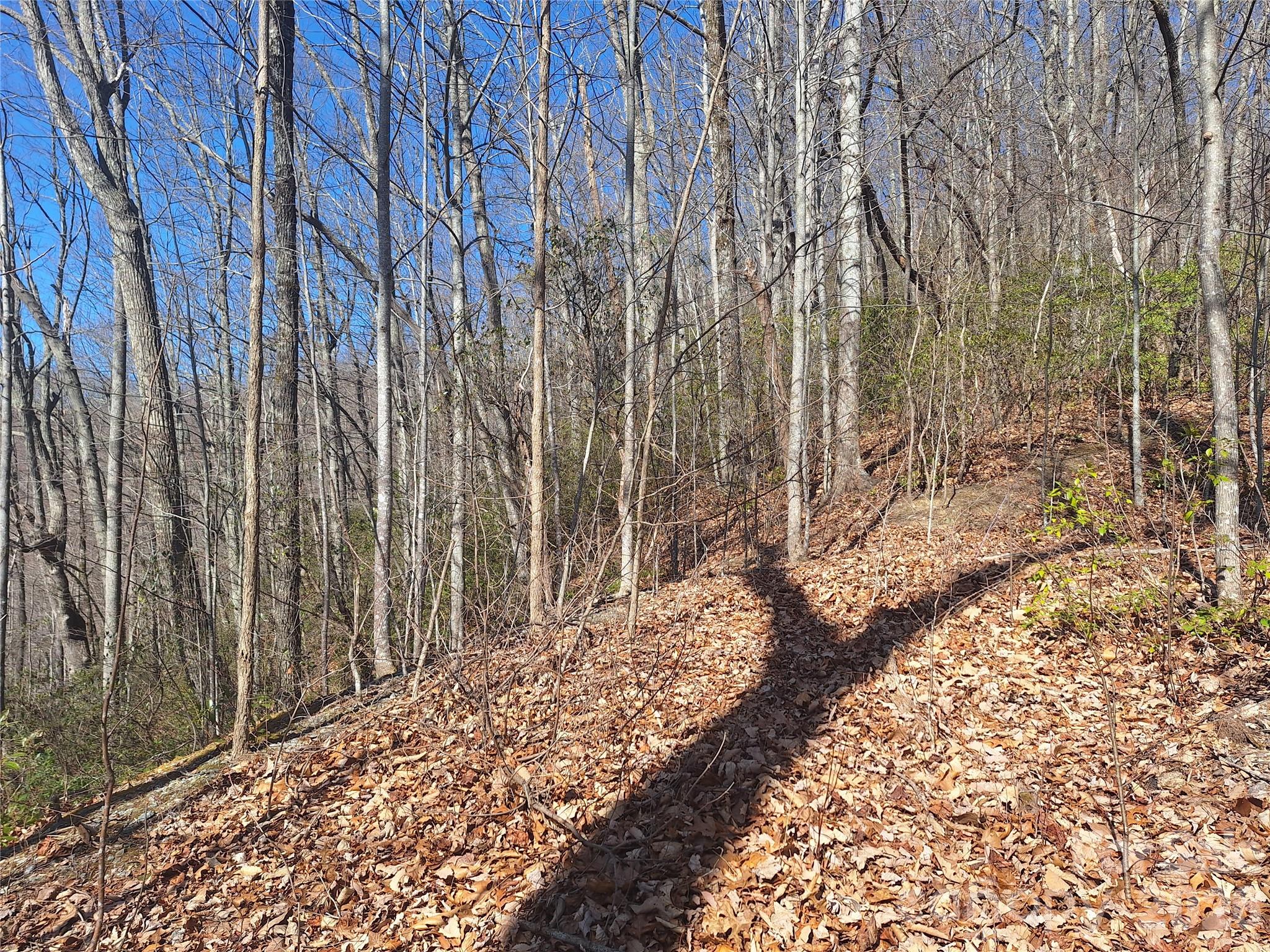 965 Wolf Pen Road Property Photo 22