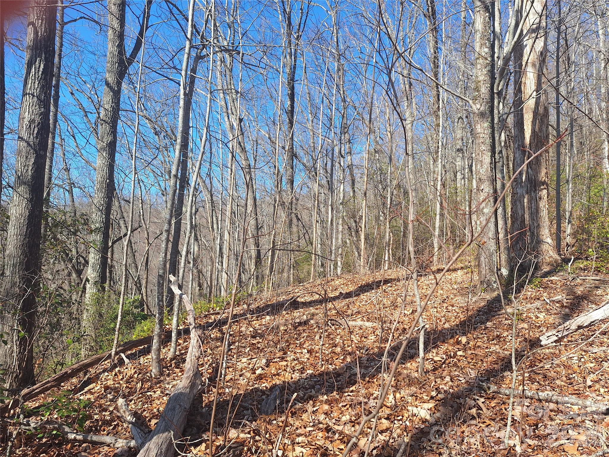 965 Wolf Pen Road Property Photo 23
