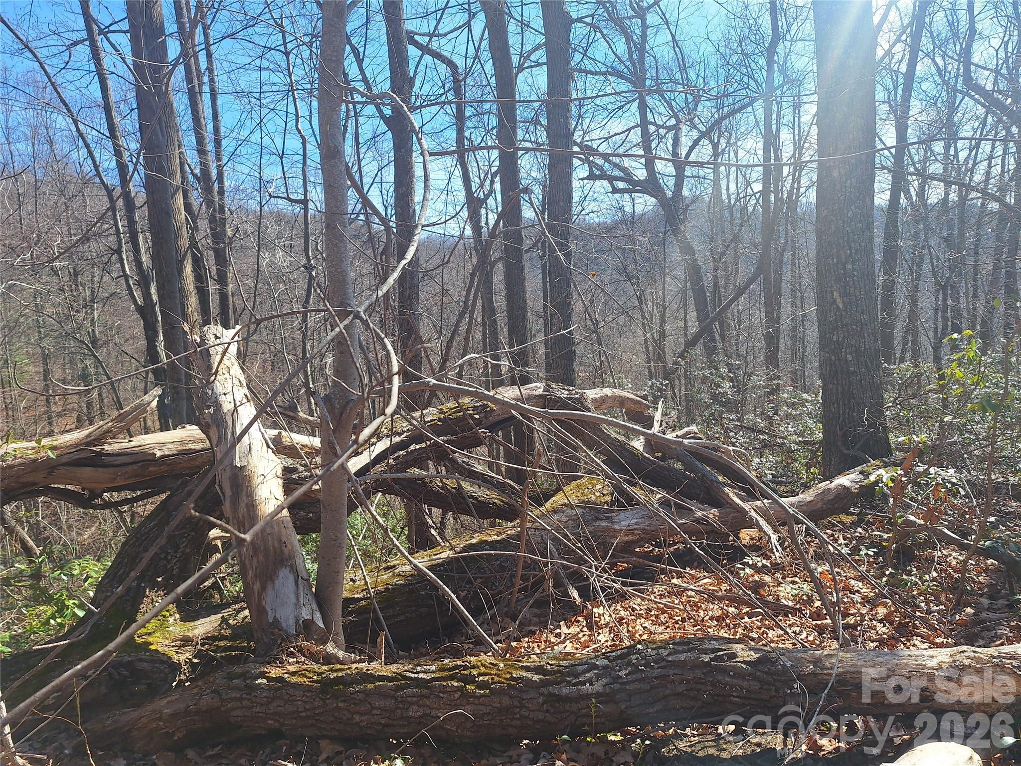 965 Wolf Pen Road Property Photo 24