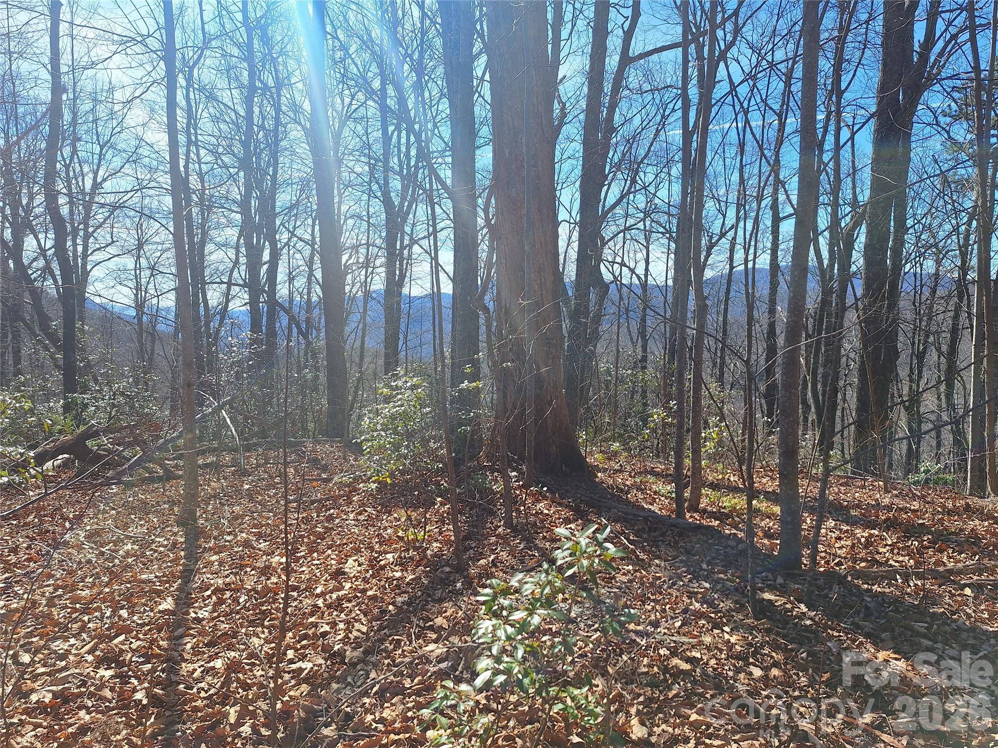 965 Wolf Pen Road Property Photo 25